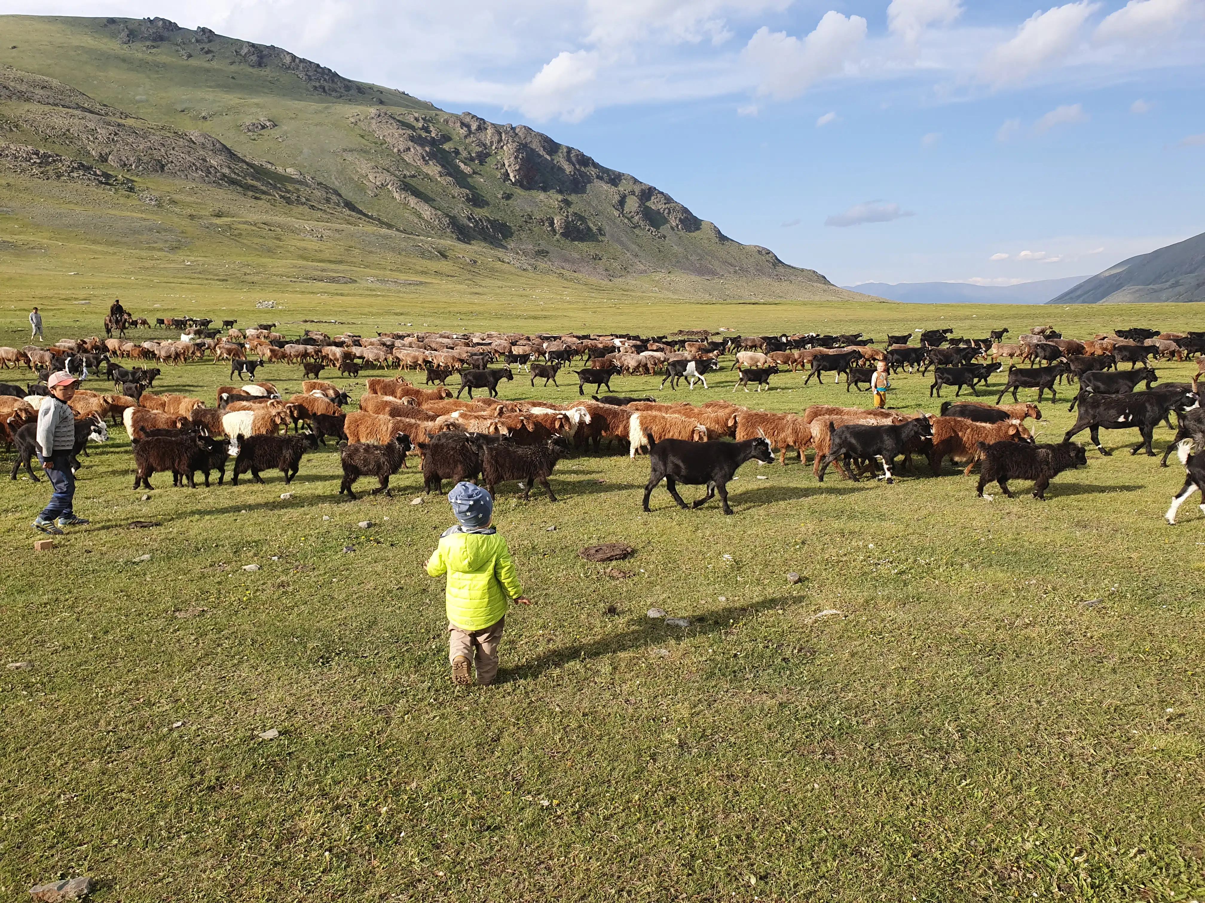 Mongolia with kids