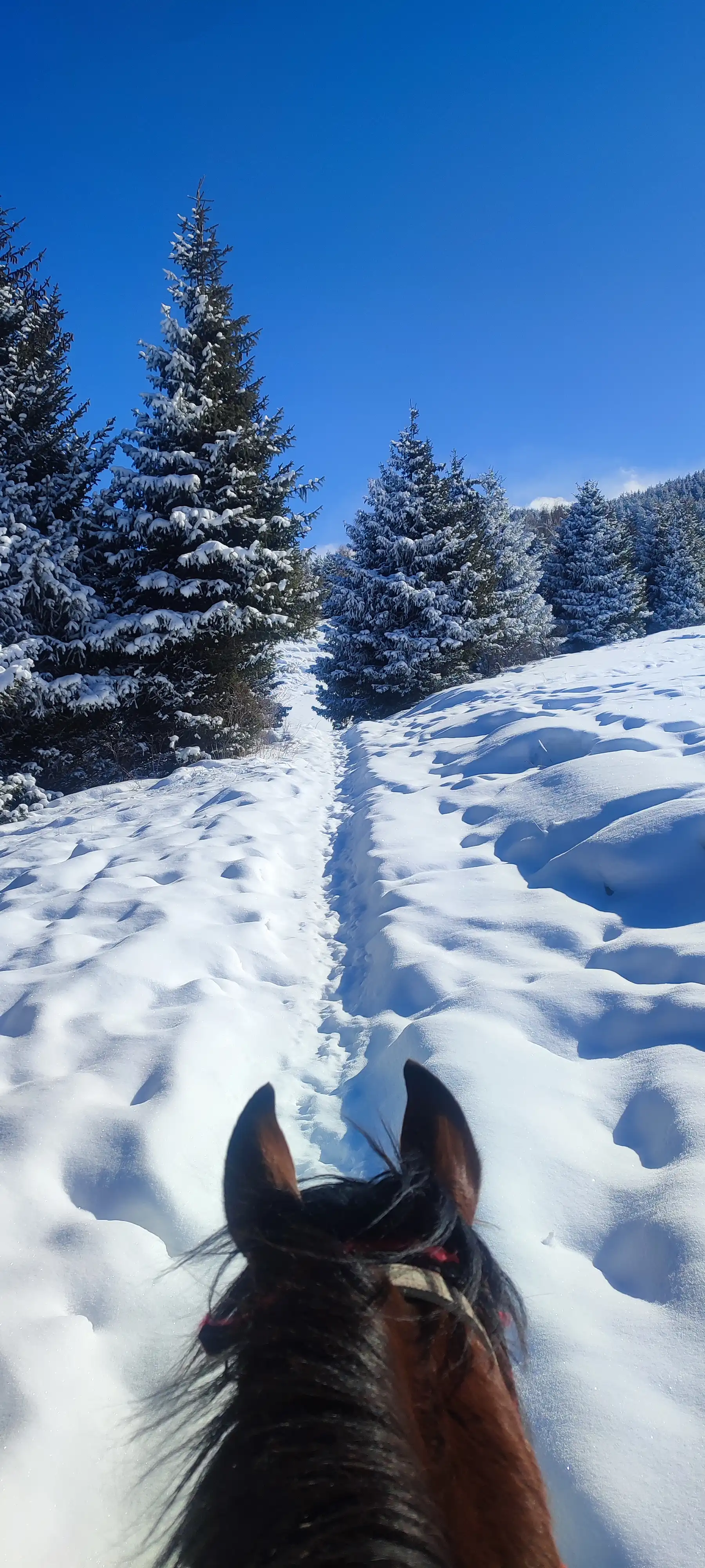 Best day trips from Bishkek