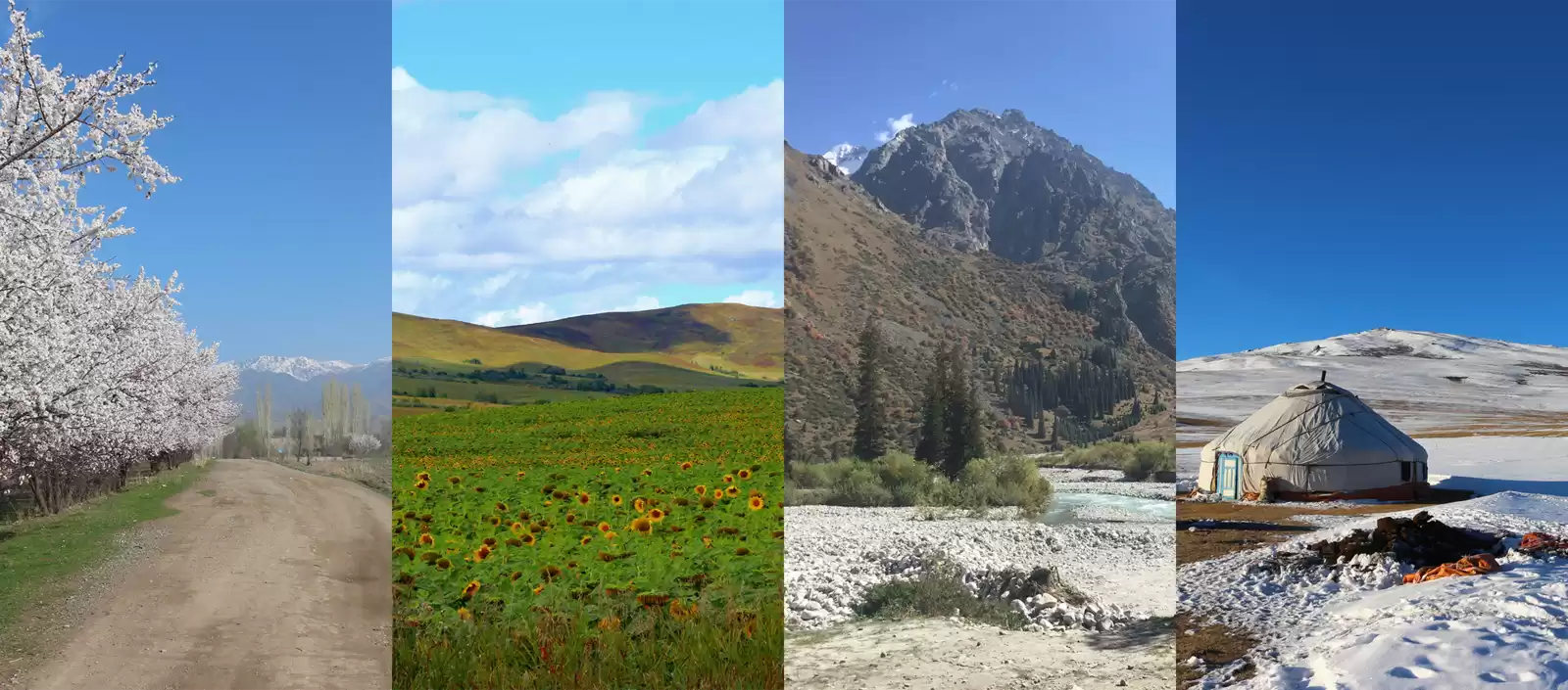 Central Asia's Travel Season