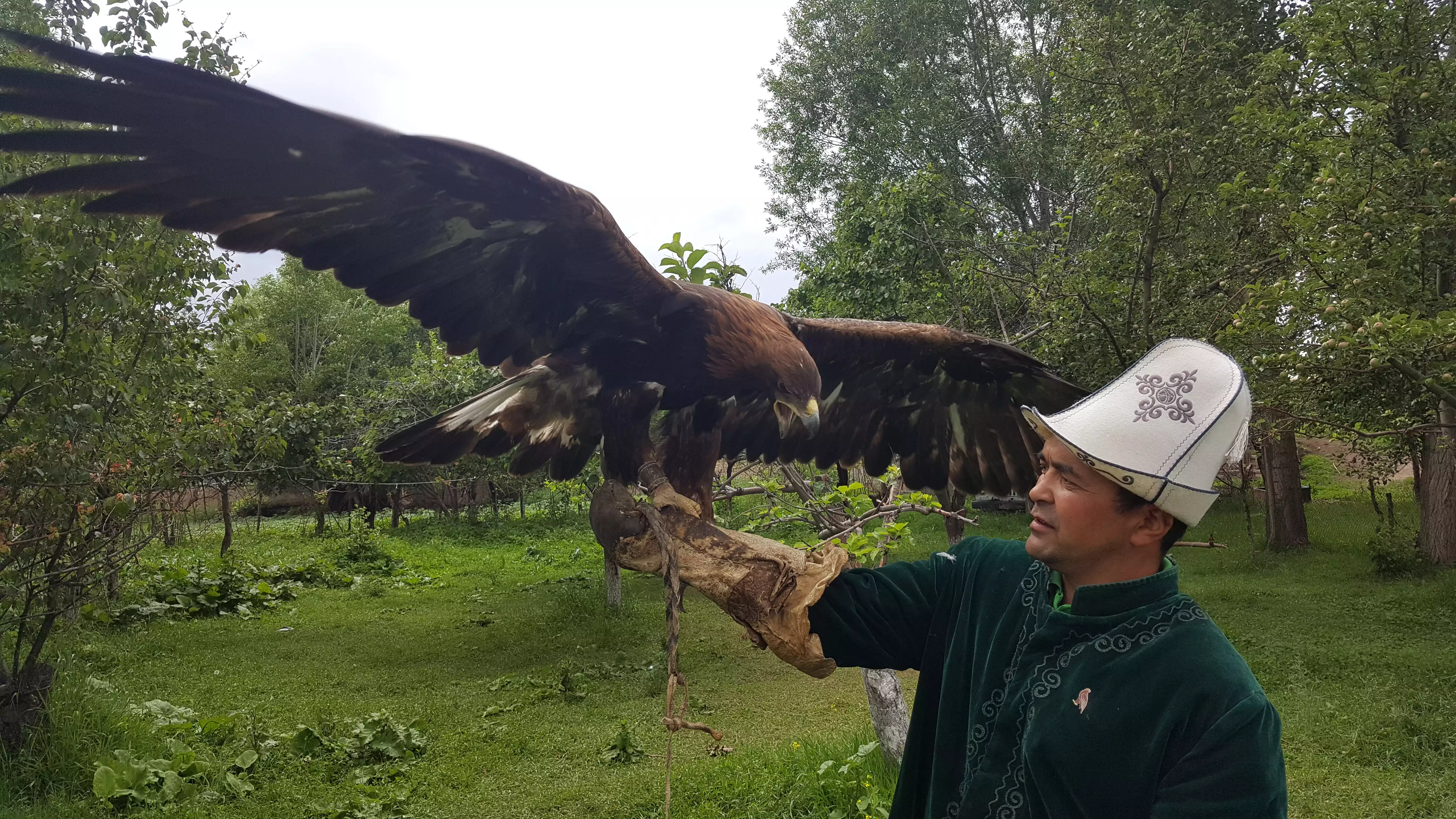Eagle hunting in Kyrgyzstan