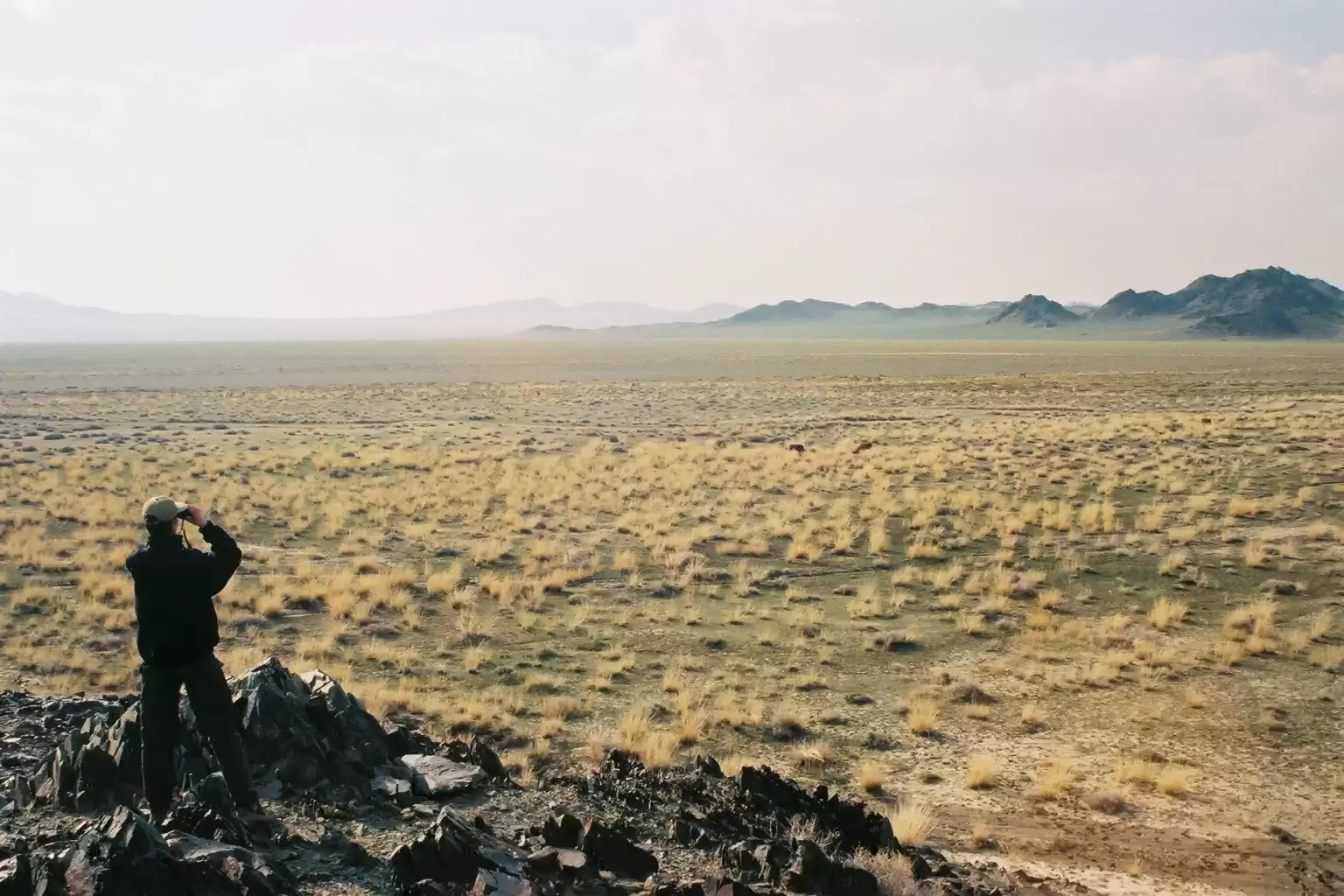 Ethical approach to wildlife observation and photography