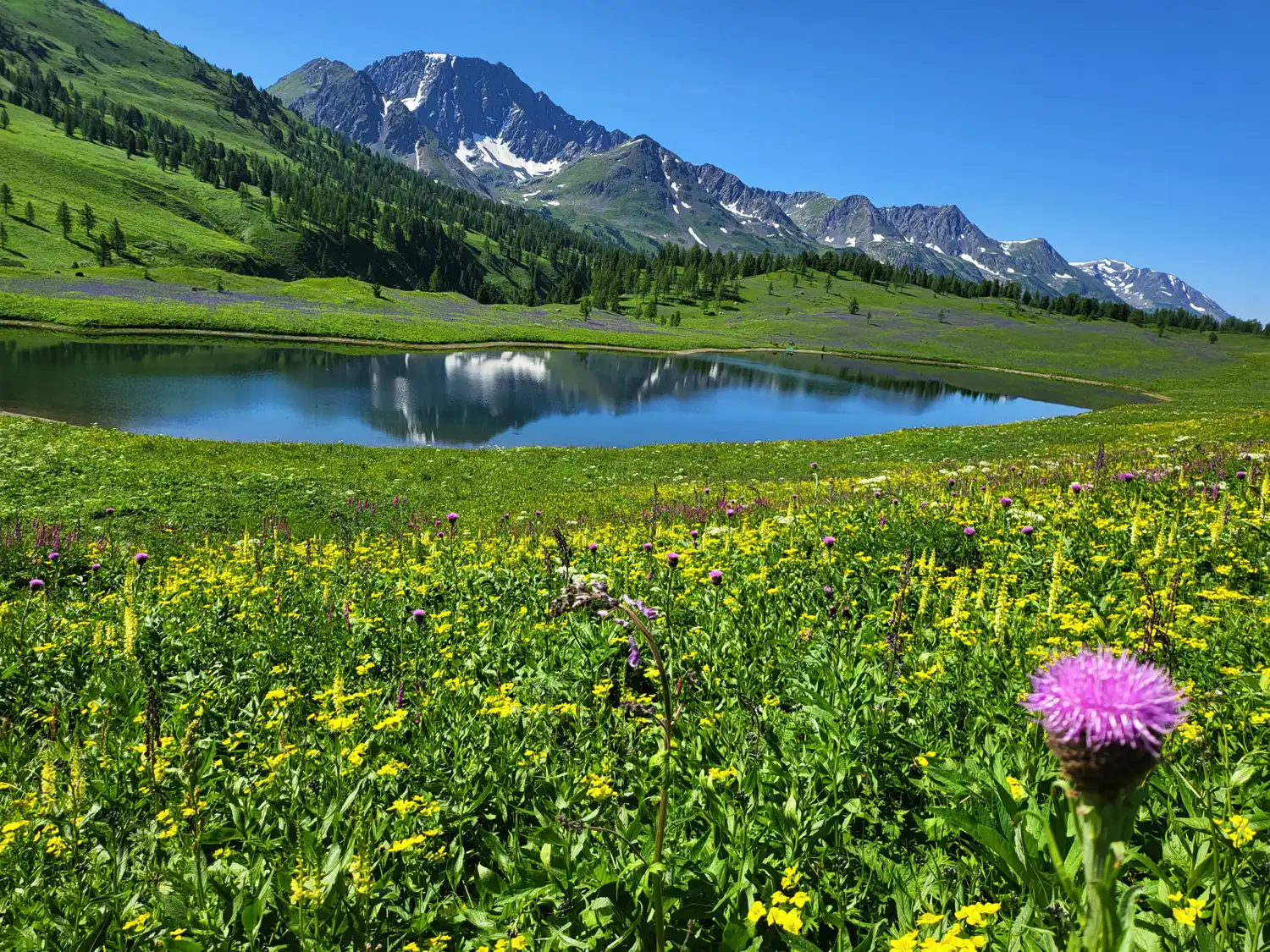 Exploring the Majestic Altai Mountains of Kazakhstan: A Journey Through Time and Nature