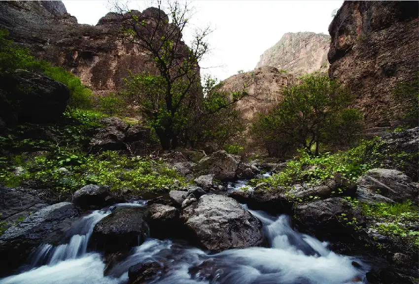 Kov Ata: Turkmenistan's Hidden Underground Lake Marvel