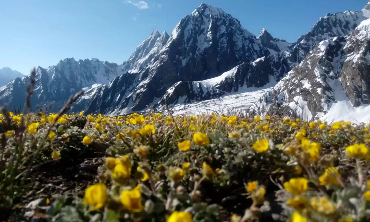 The Enigmatic Safety of Gilgit Baltistan: Unveiling the Karakoram Anomaly