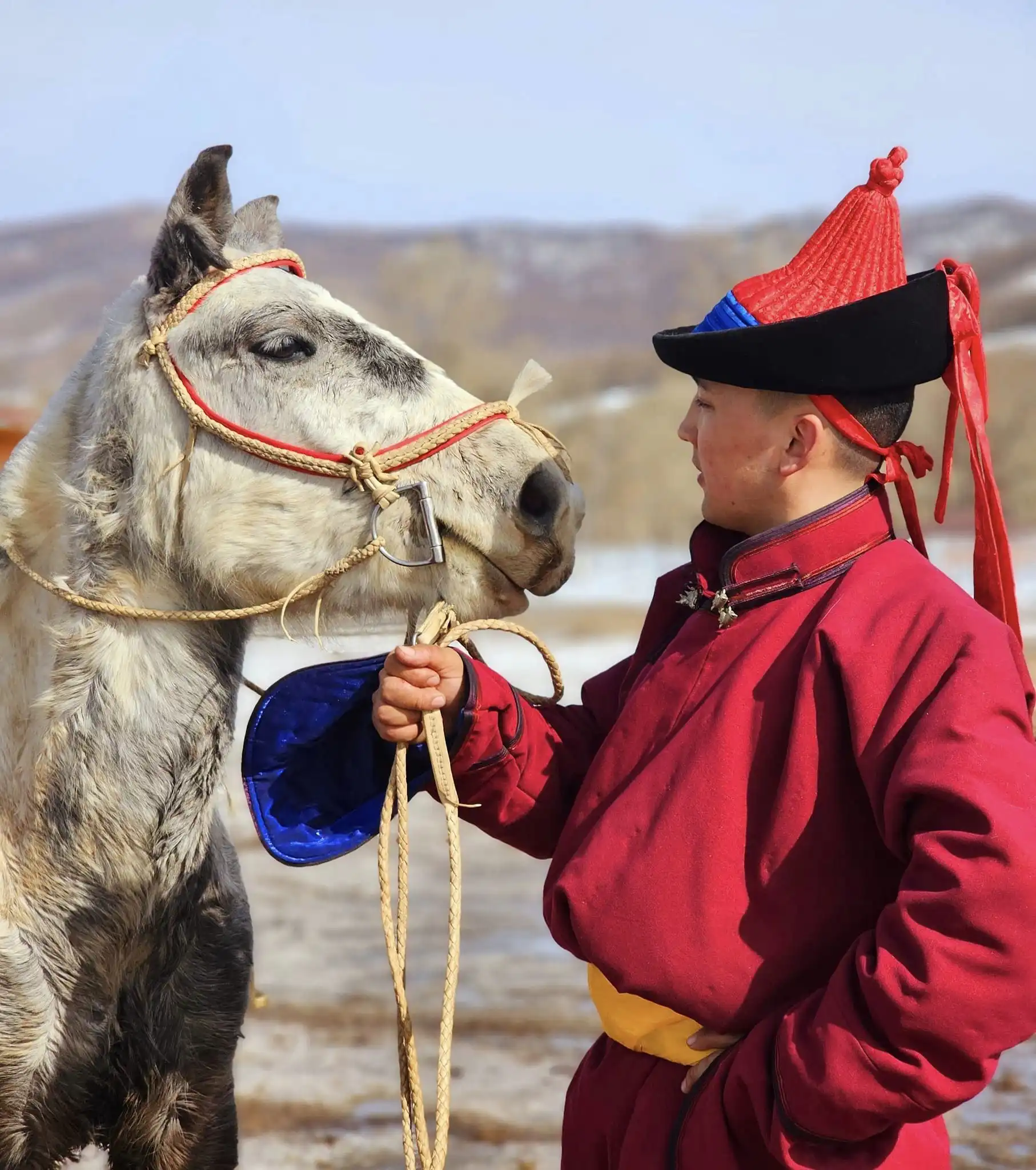 A Unique Mongolian Horse and Dog Sled Adventure in Gorkhi Terelj National Park