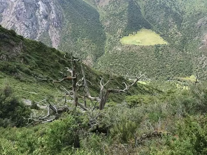 Hiking In Sayram-ugam National Park & Kazakh Village