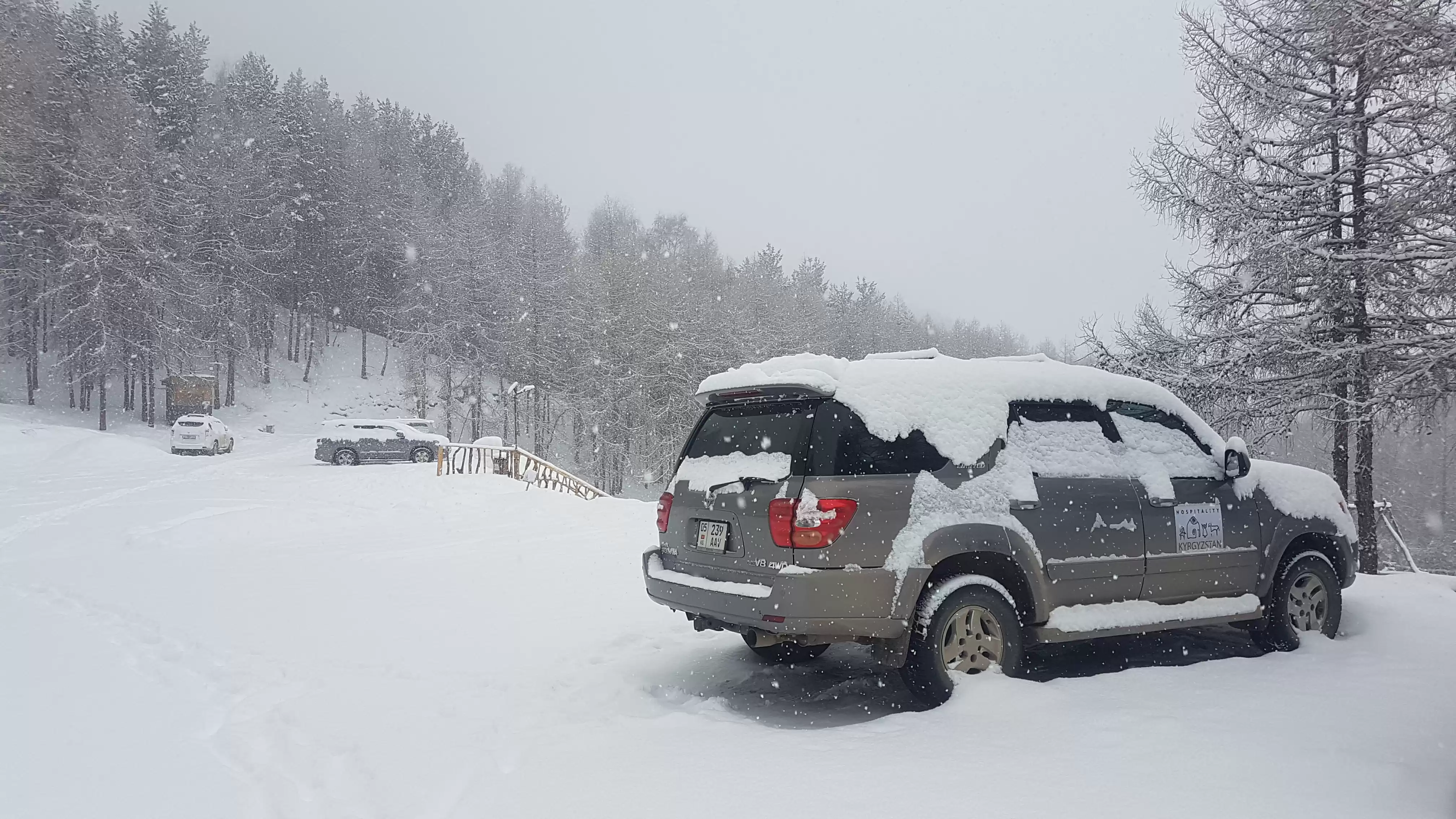 Your Guide And Driver In Kyrgyzstan