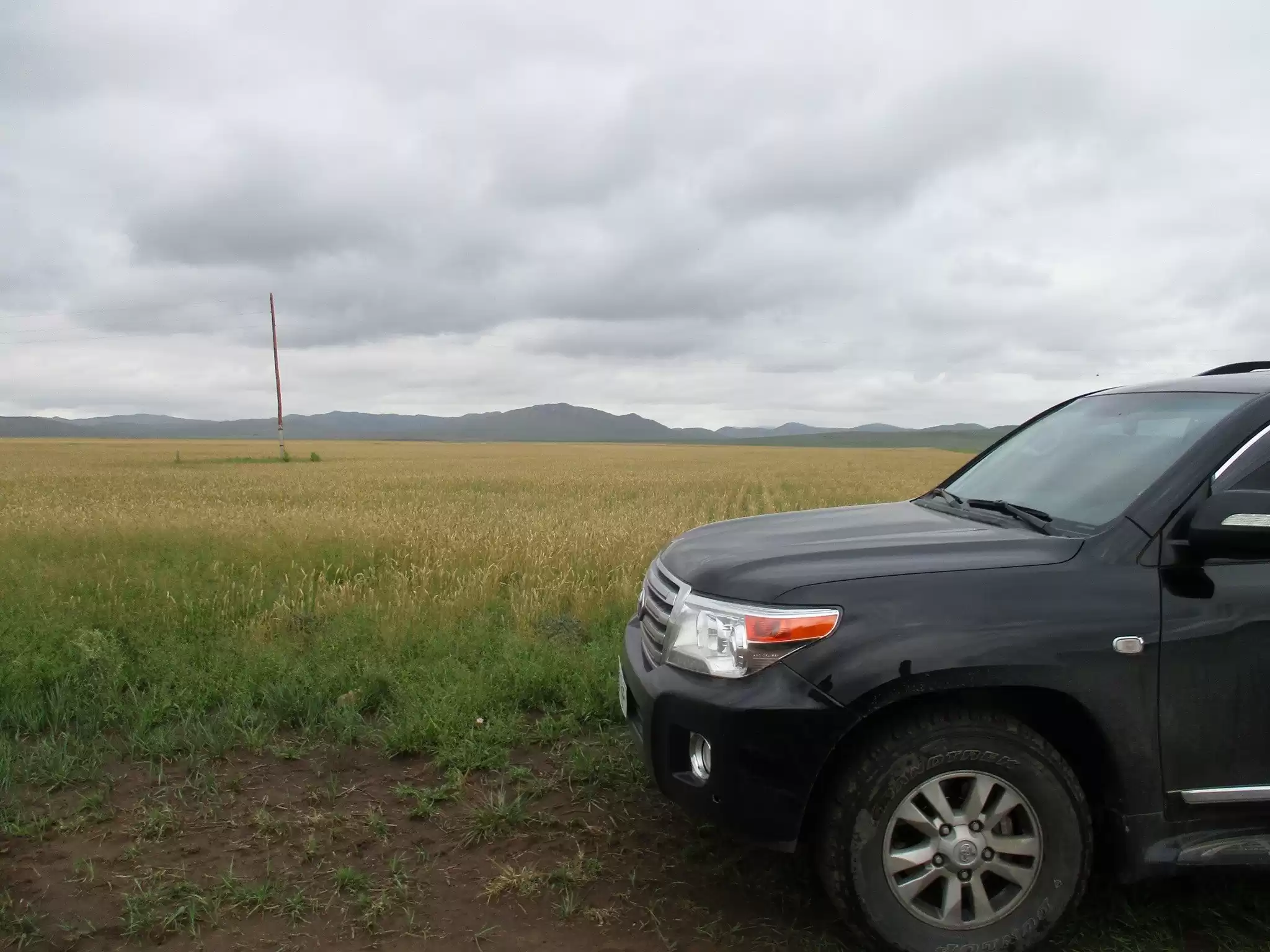 Local Driver-Guide In Mongolia