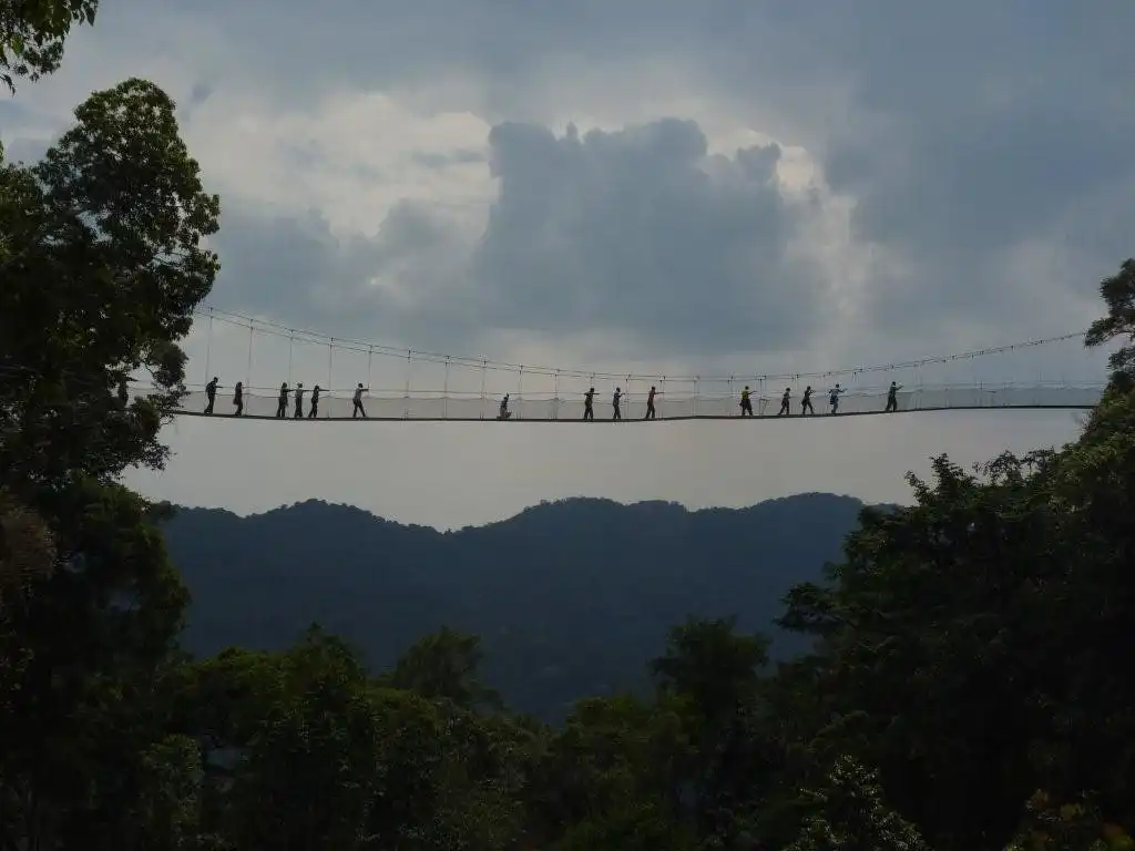 1 Day Canopy Walk Adventure In Nyungwe Forest