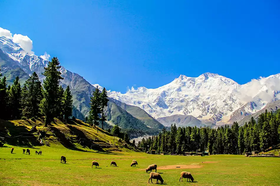 10 Days Fairy Meadows Hunza Valley Pakistan
