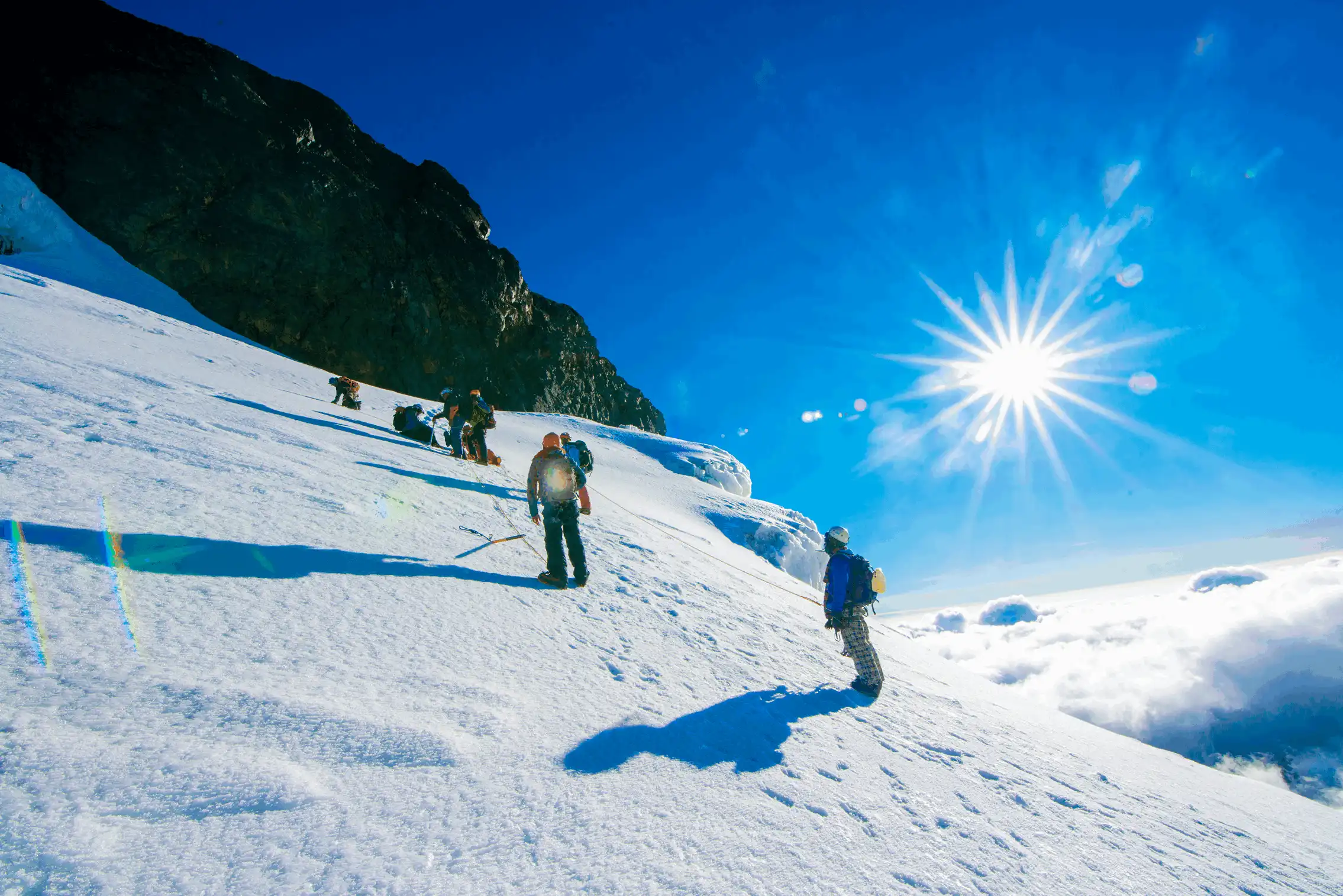 12-day Margherita Peak To Chimpanzee And Coffee Safari