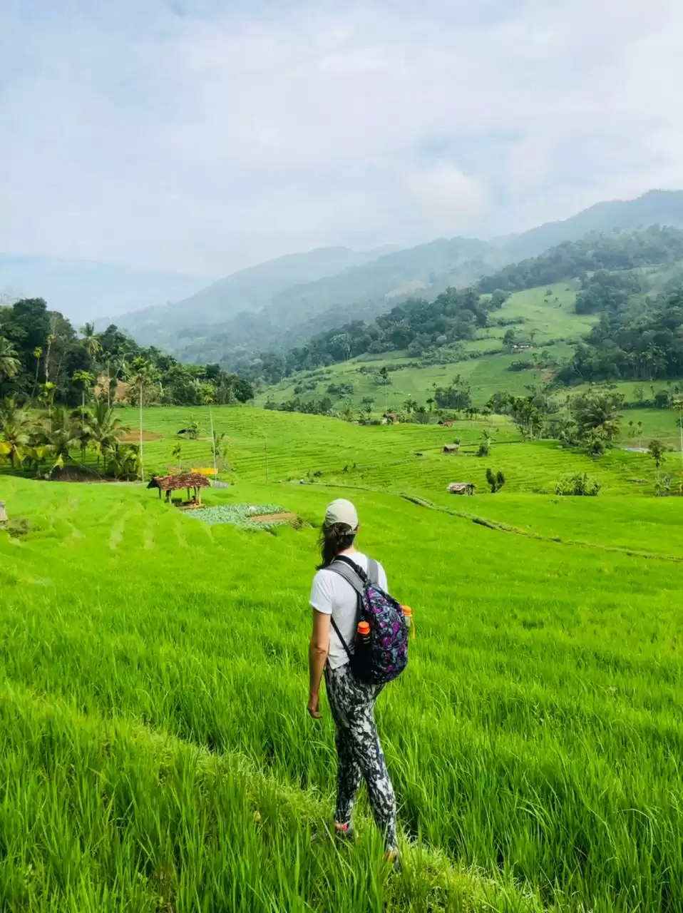 Private Sri Lankan Tour