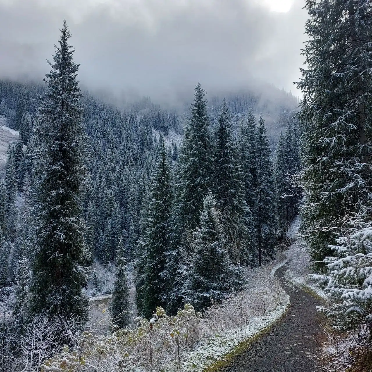 Transfers Around Almaty City Kolsai Lakes & Altyn Emel