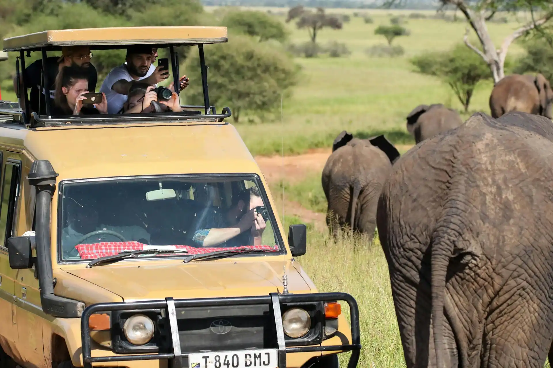 3 Days Big 5 Budget Safari To Tanzania