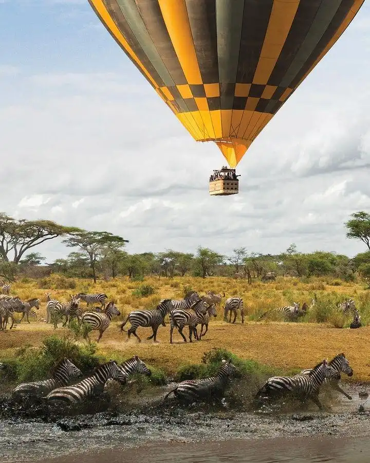 3day Zanzibar To Ngorongoro Tarangire & Hadzabe Safari