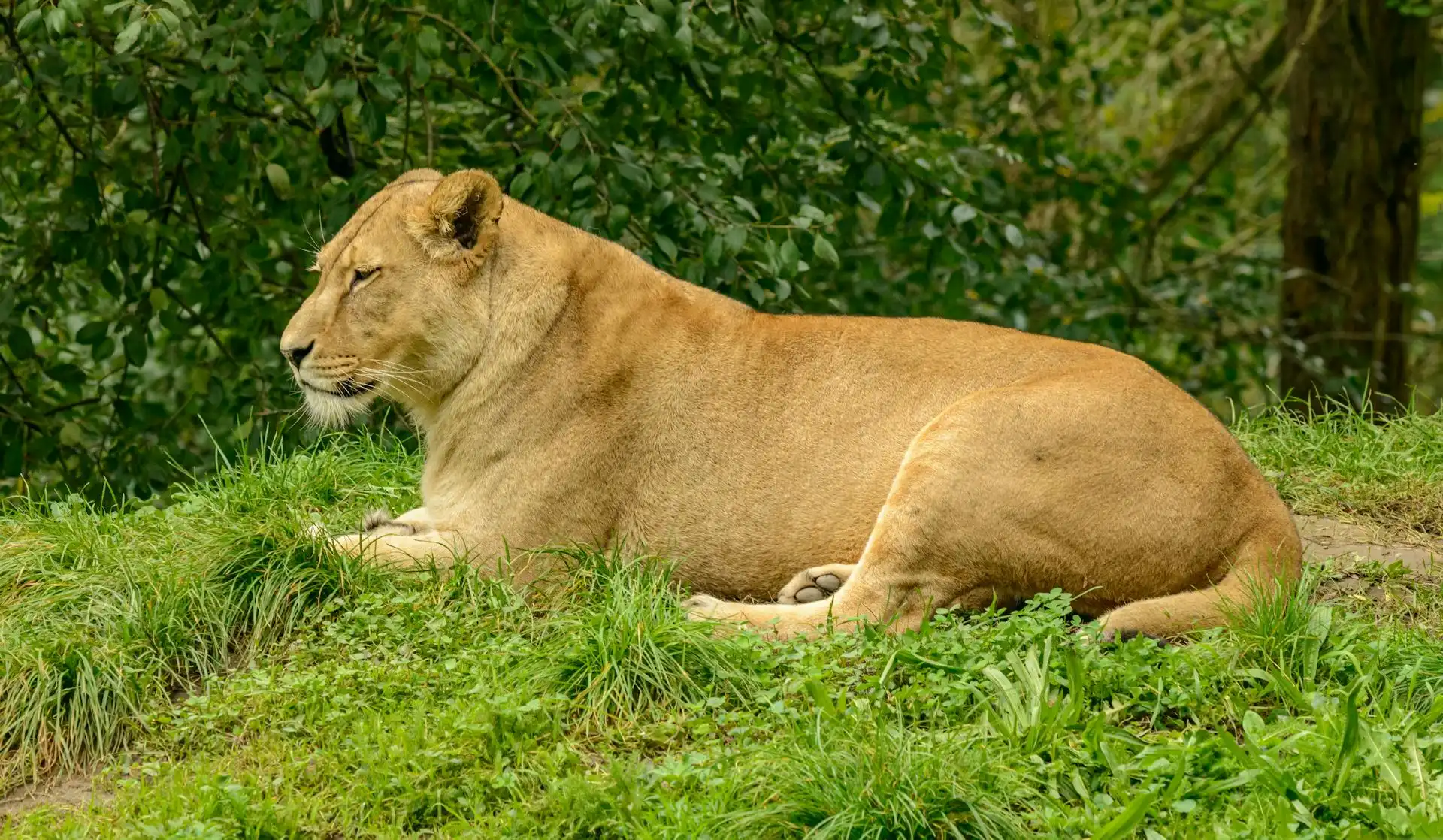 4 Day Taste Of Tanzania Budget Safari
