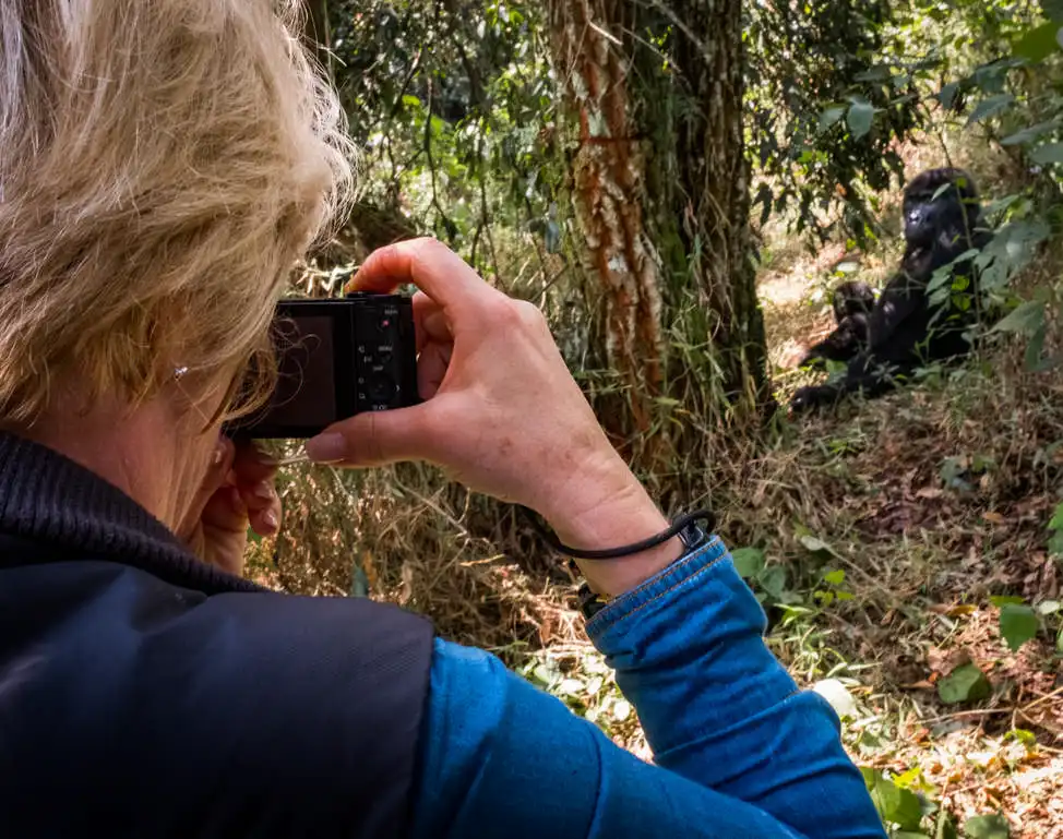 4-day Luxury Gorilla Fly-in Safari Mara To Bwindi