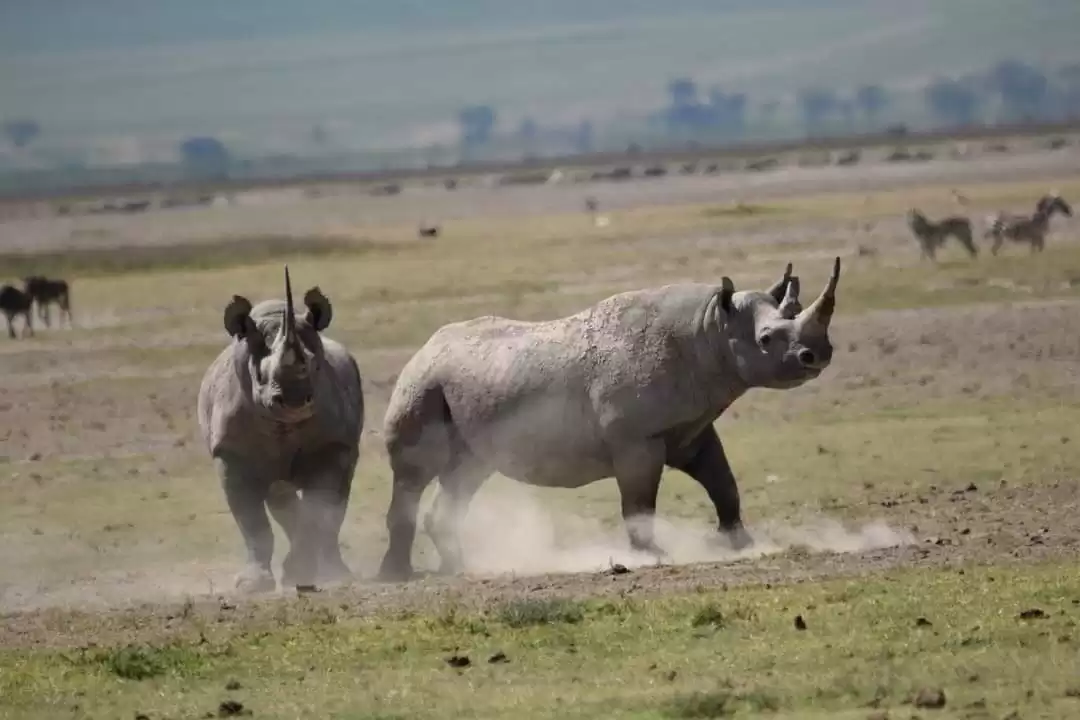 4-Day Touch Of Wilderness - Mid-Range