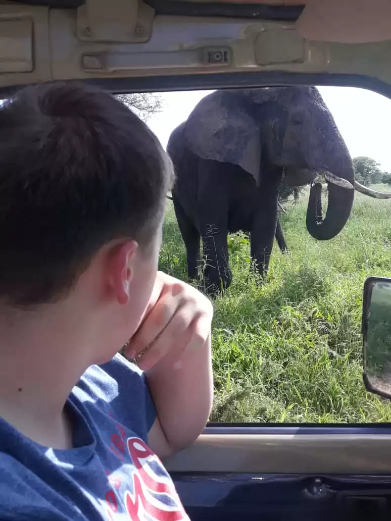 5-Day Living Among Lions - Luxury