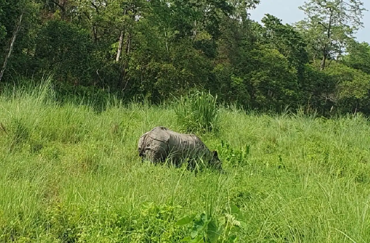 Kathmandu Nagarkot And Chitwan