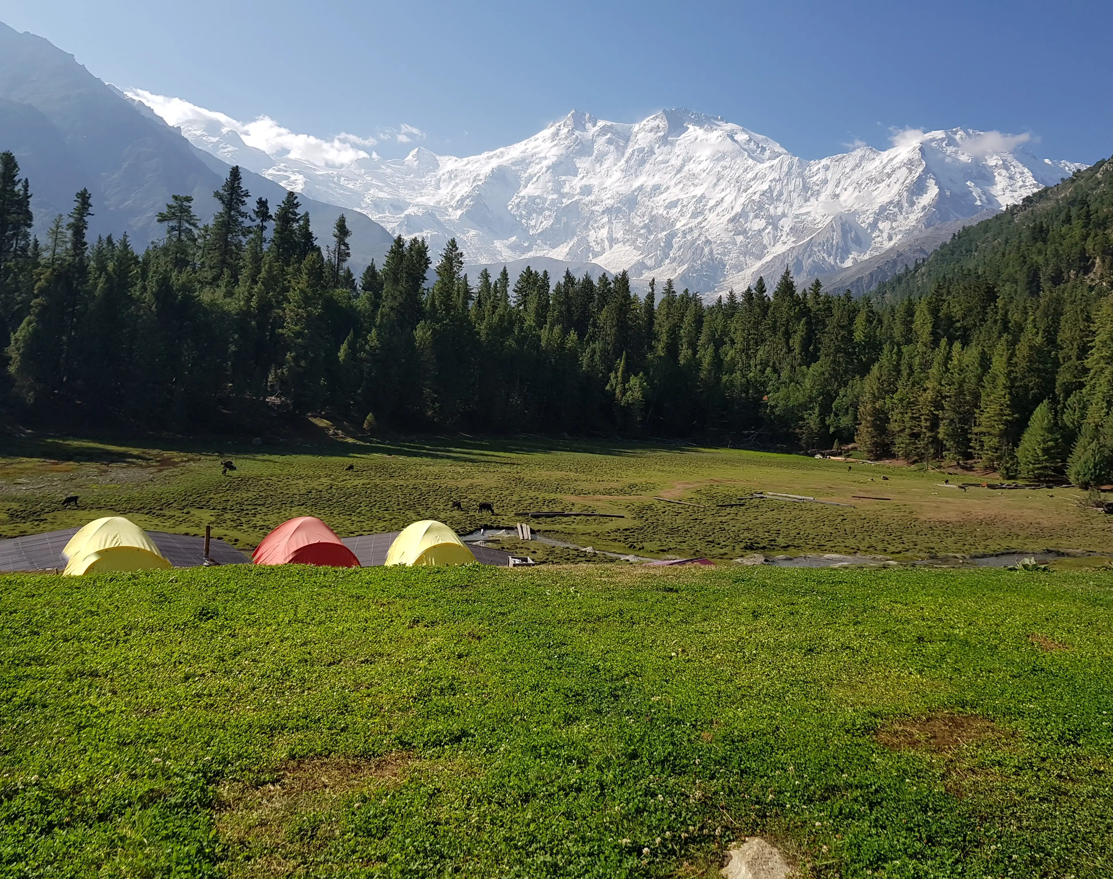 9-day Lahore To Nanga Parbat: A Majestic Landscape