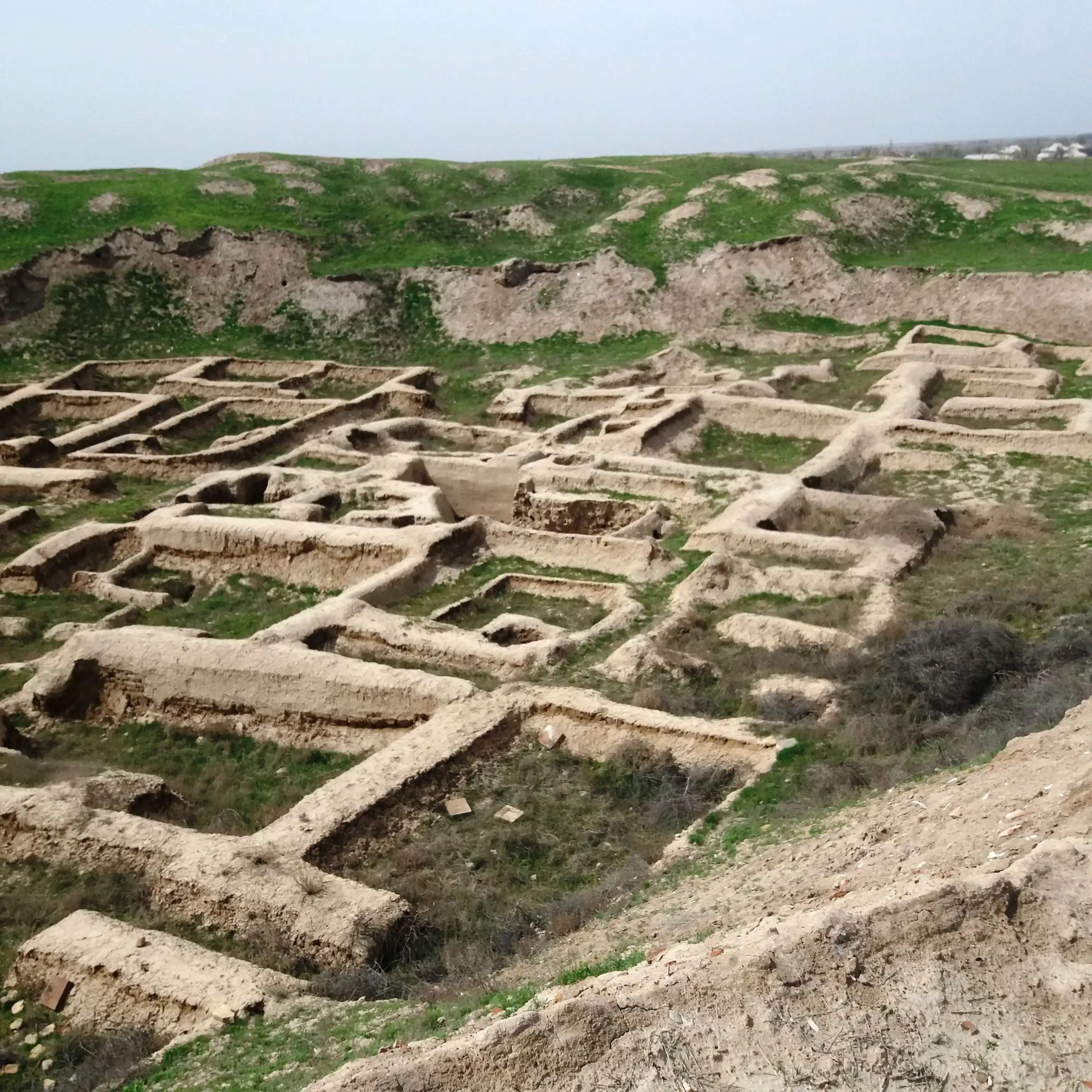 Svingerlar klubi porno video onlayn