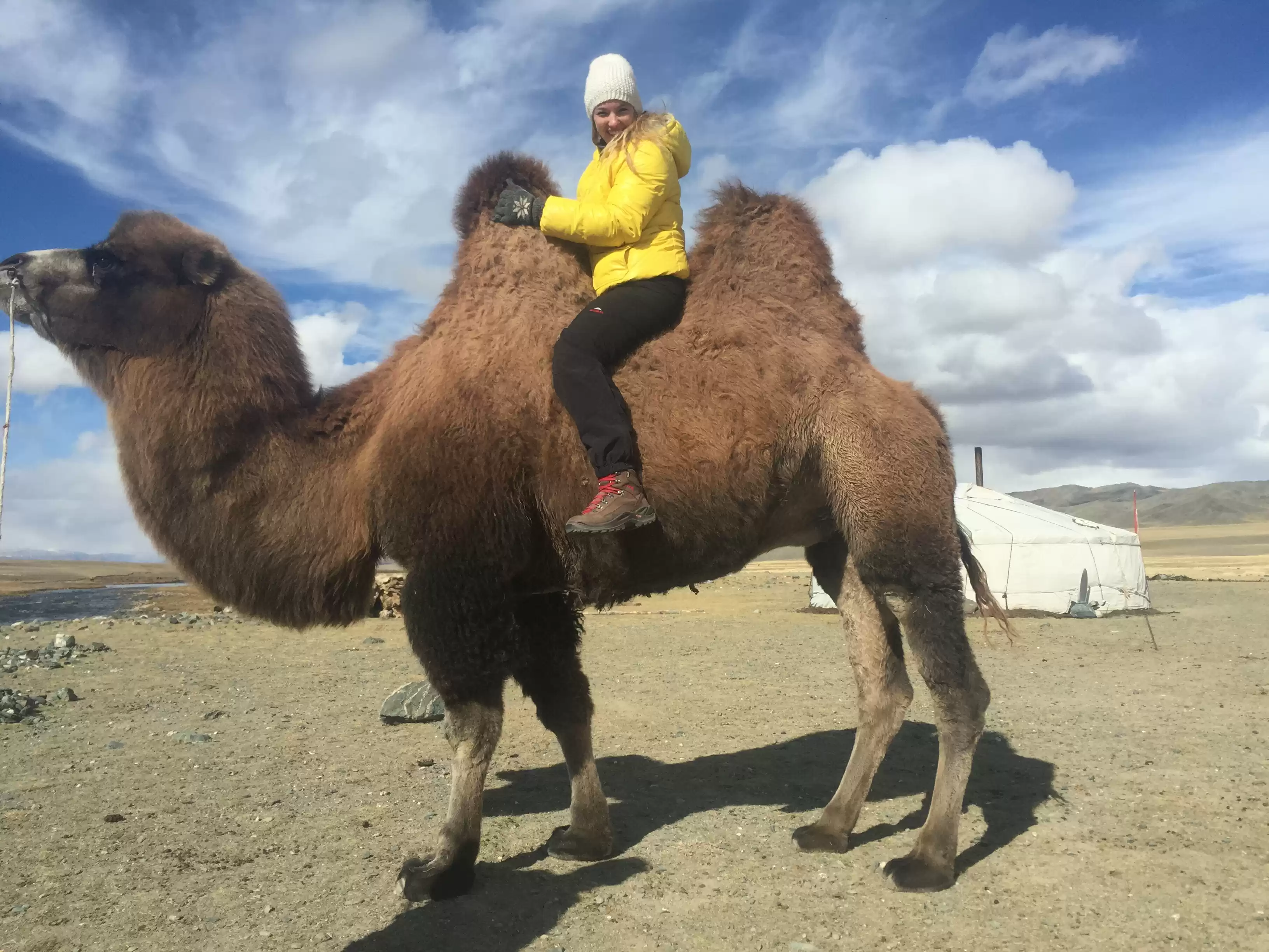 Camel Riding Mongolia The Gobi Desert | Khamriid Khiid Monastery