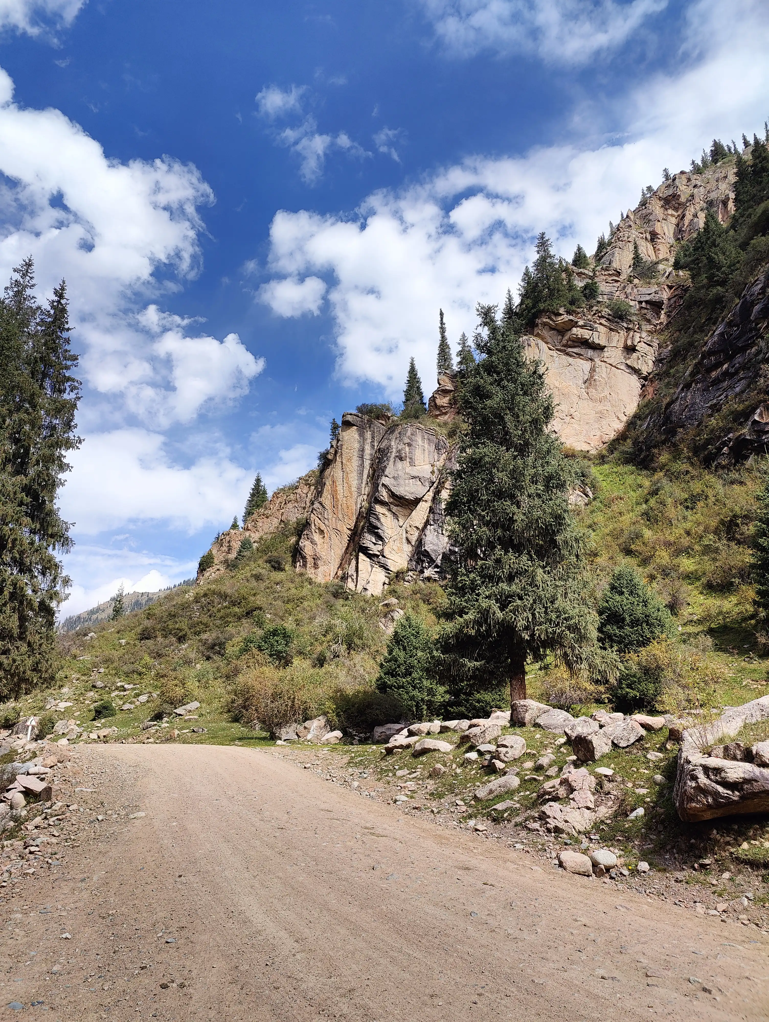 Үлкен ақ әтешті жұтады