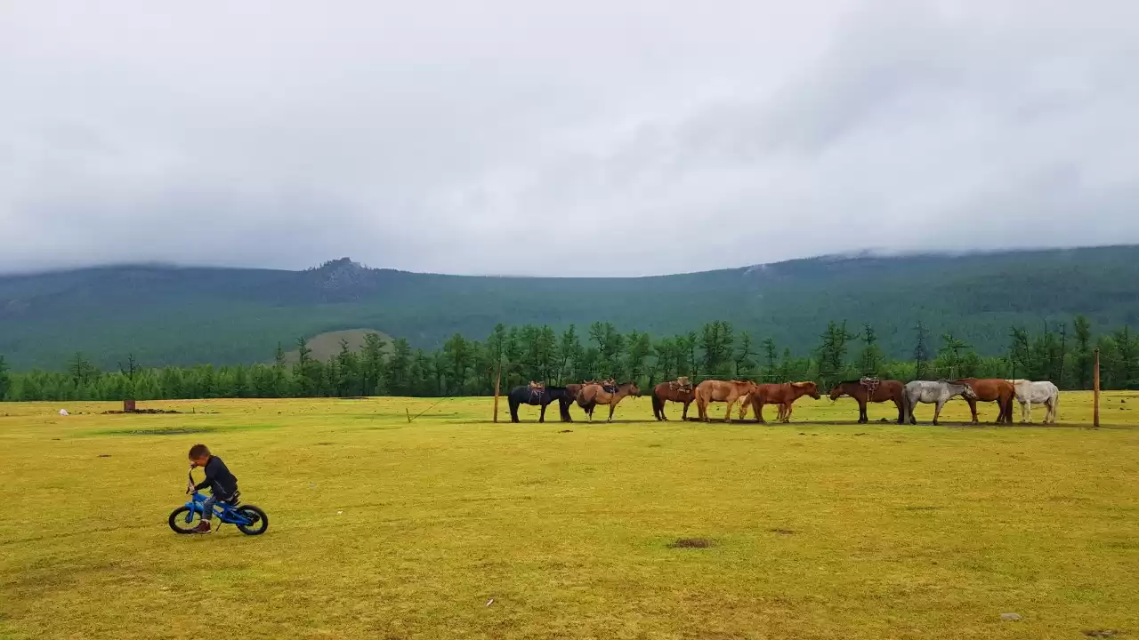 5 Days Horse Trek In Hentii Mountain Range