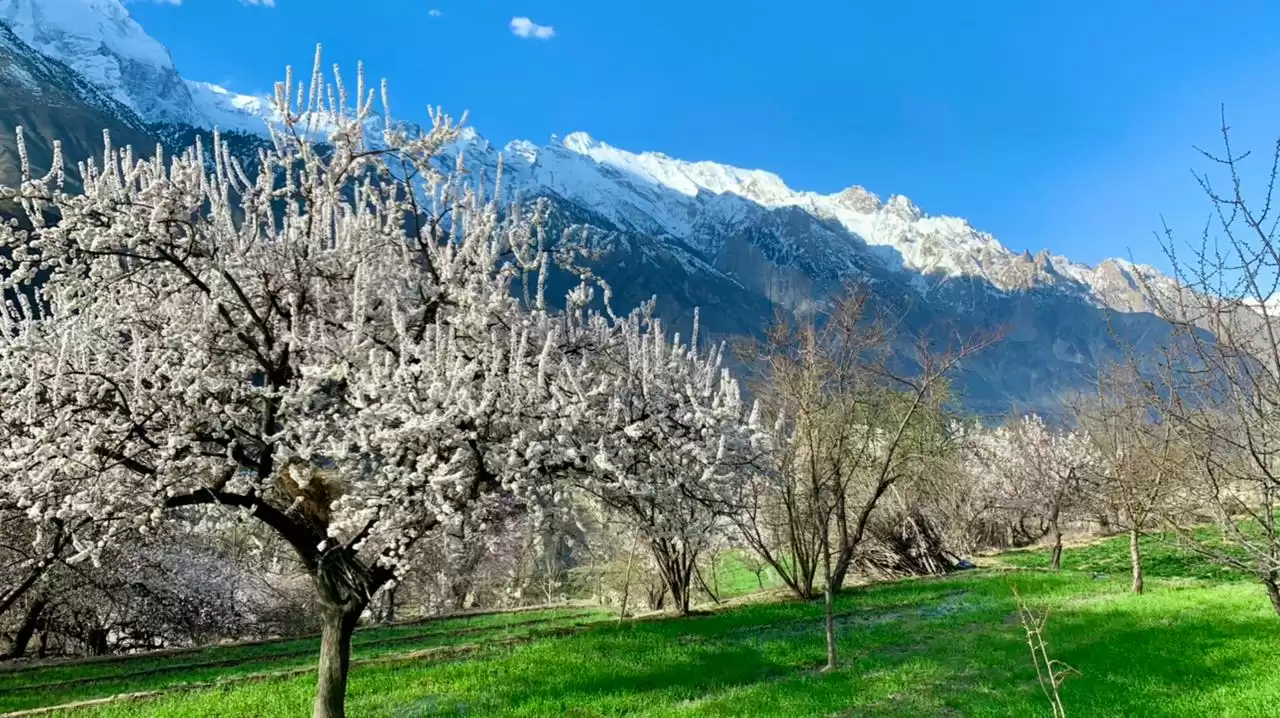 Colors Of Hunza Valley Tour - 9 Days