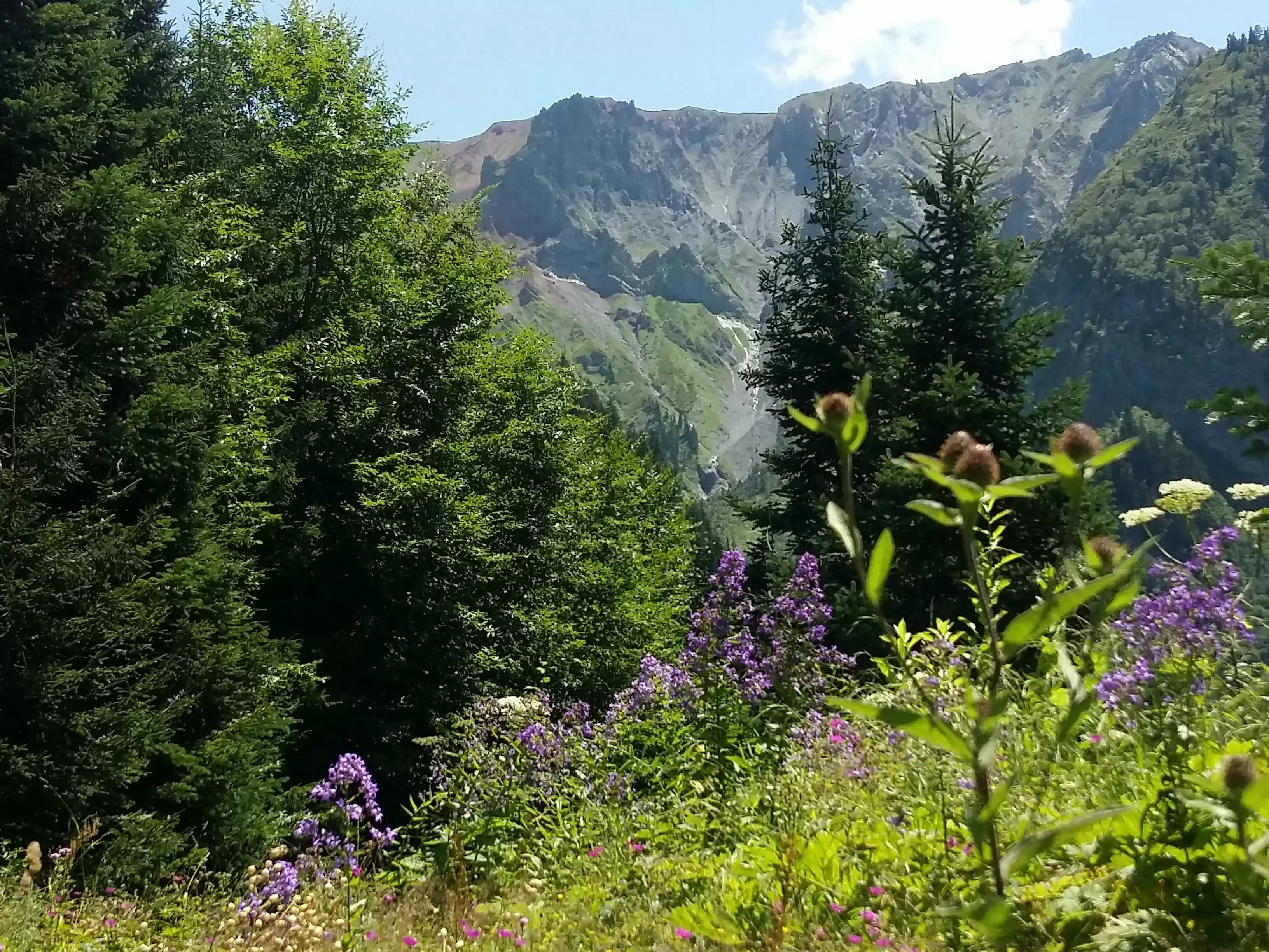 Cycling Tour In Mtirala National Park