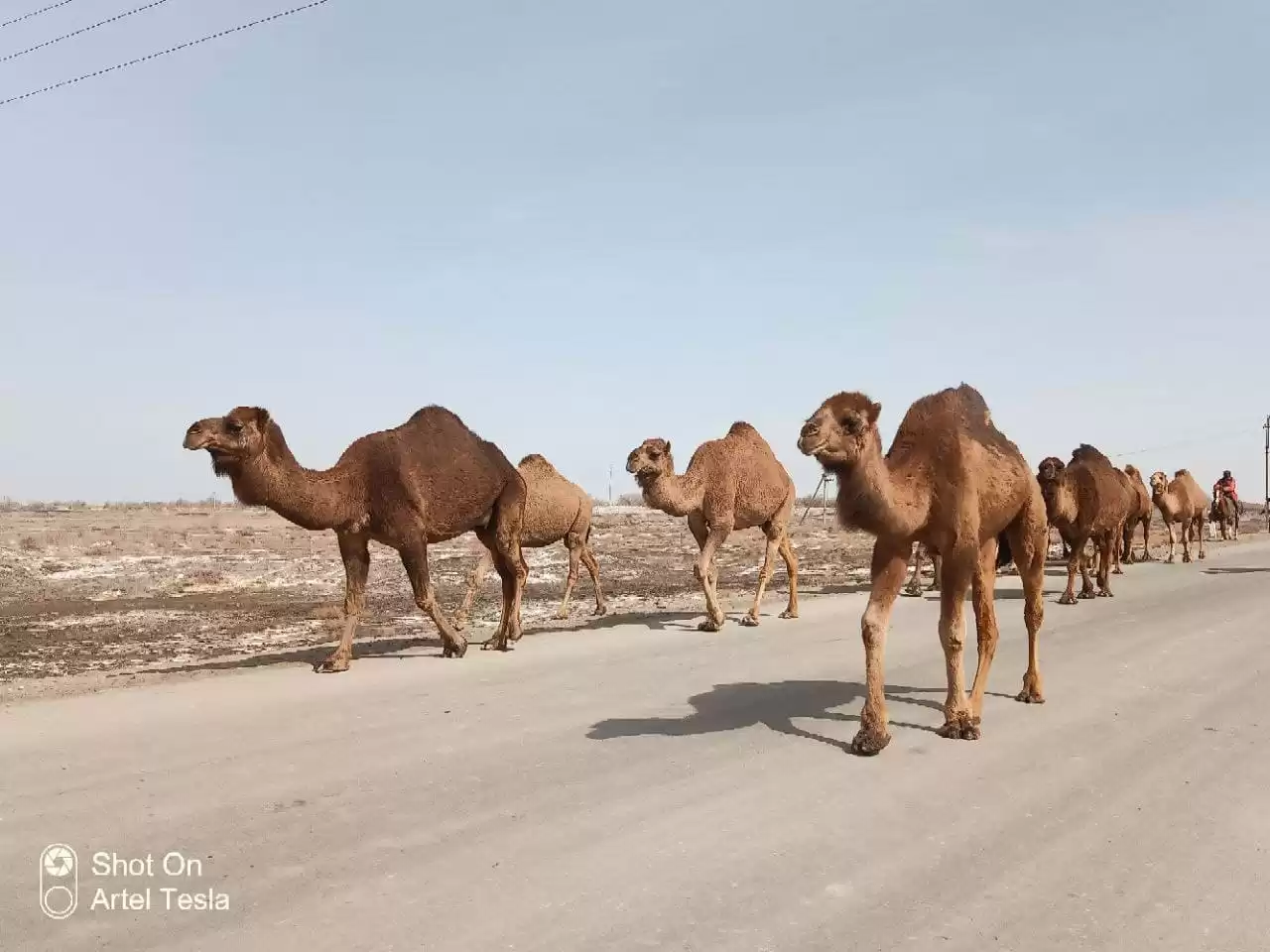 A Night In The Kyzylkum Desert From Khiva - 1