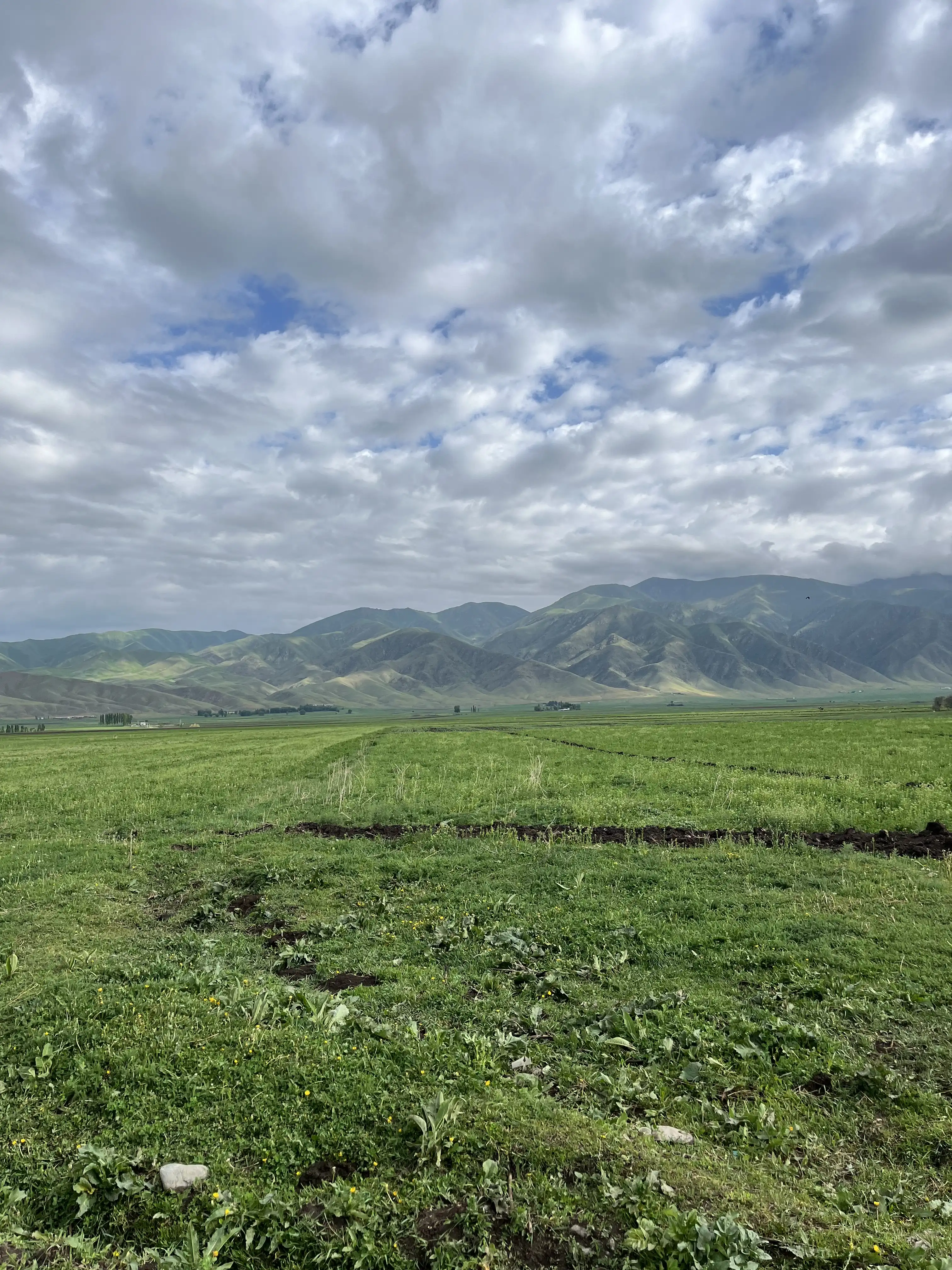 Discover Suusamyr Valley