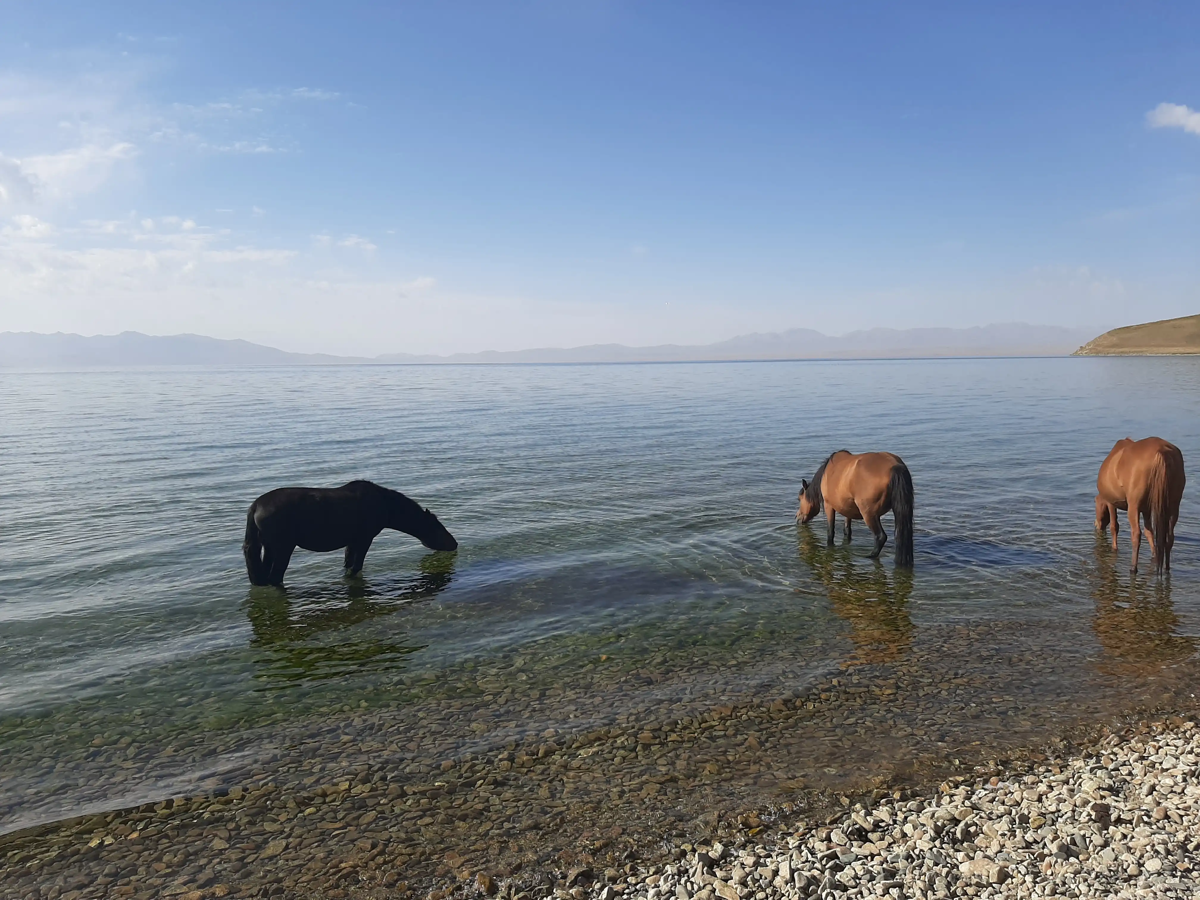 Discovering Of Song-kul Lakes In 3 Days On Horses
