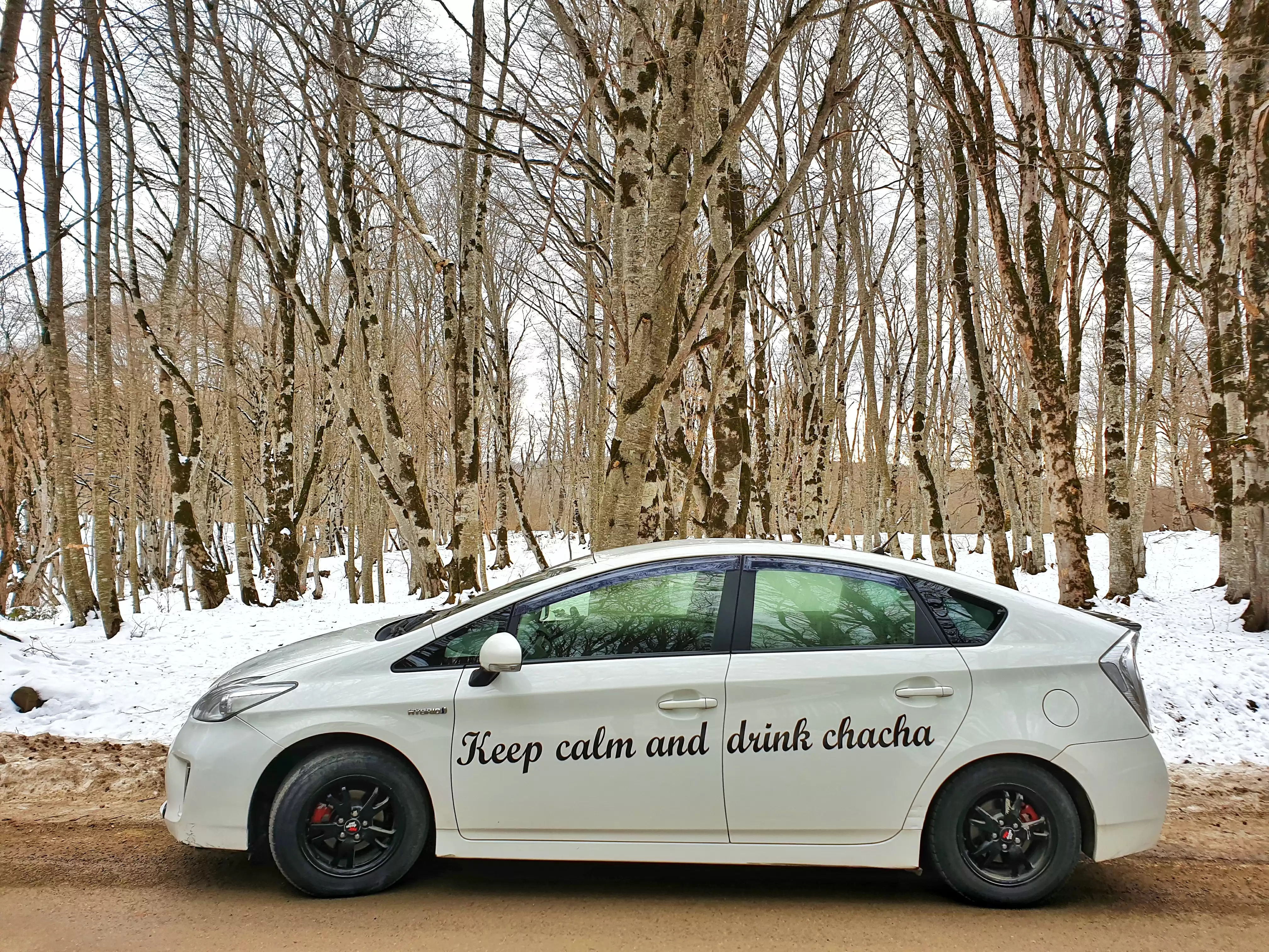 Driver - Guide - Photographer In Georgia