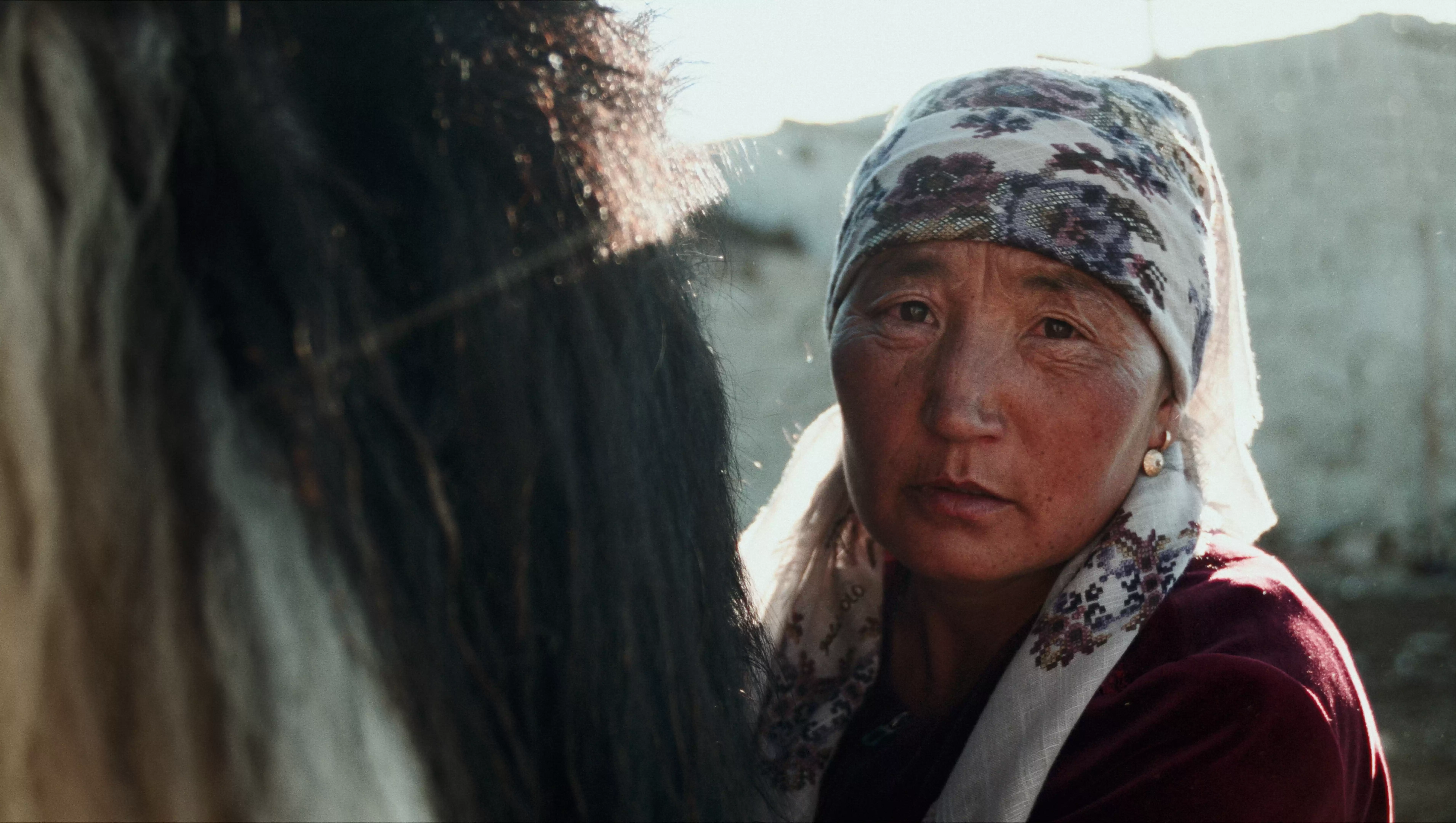 Horseback Eagle Hunter Herder Of Altai Gobi Desert