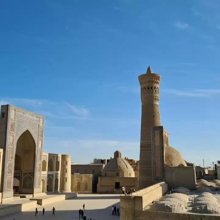 Hamma oxshab silkitadi