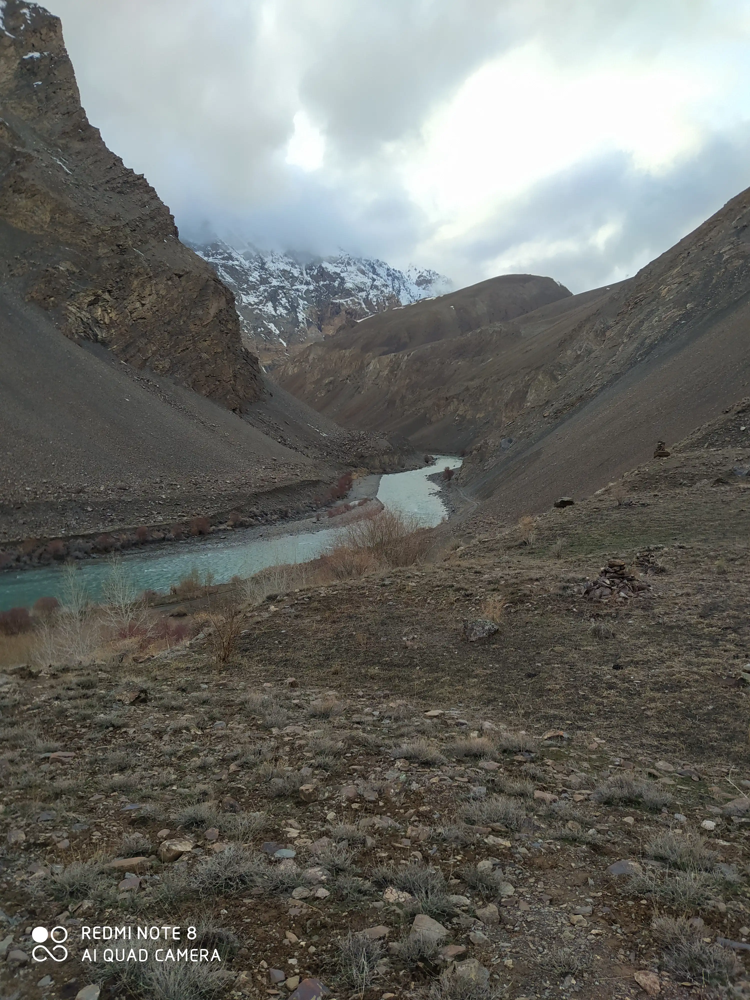 Following The Snow Leopard