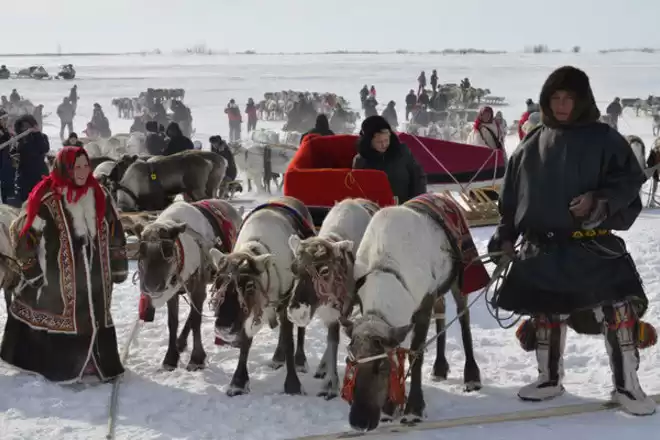 From Polar Ural Mountains To Yamal Tundra