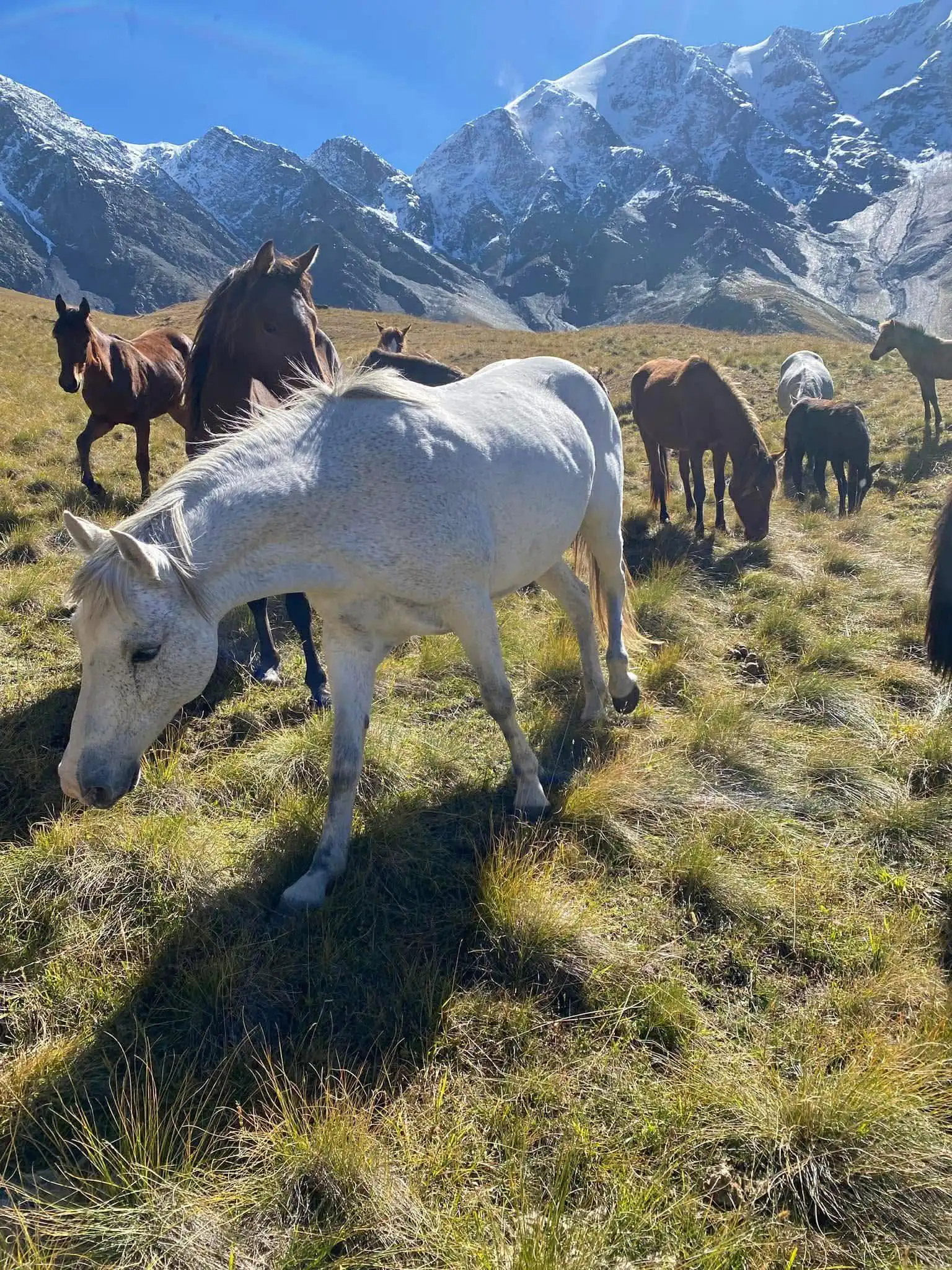 Georgia With 4x4 Delica