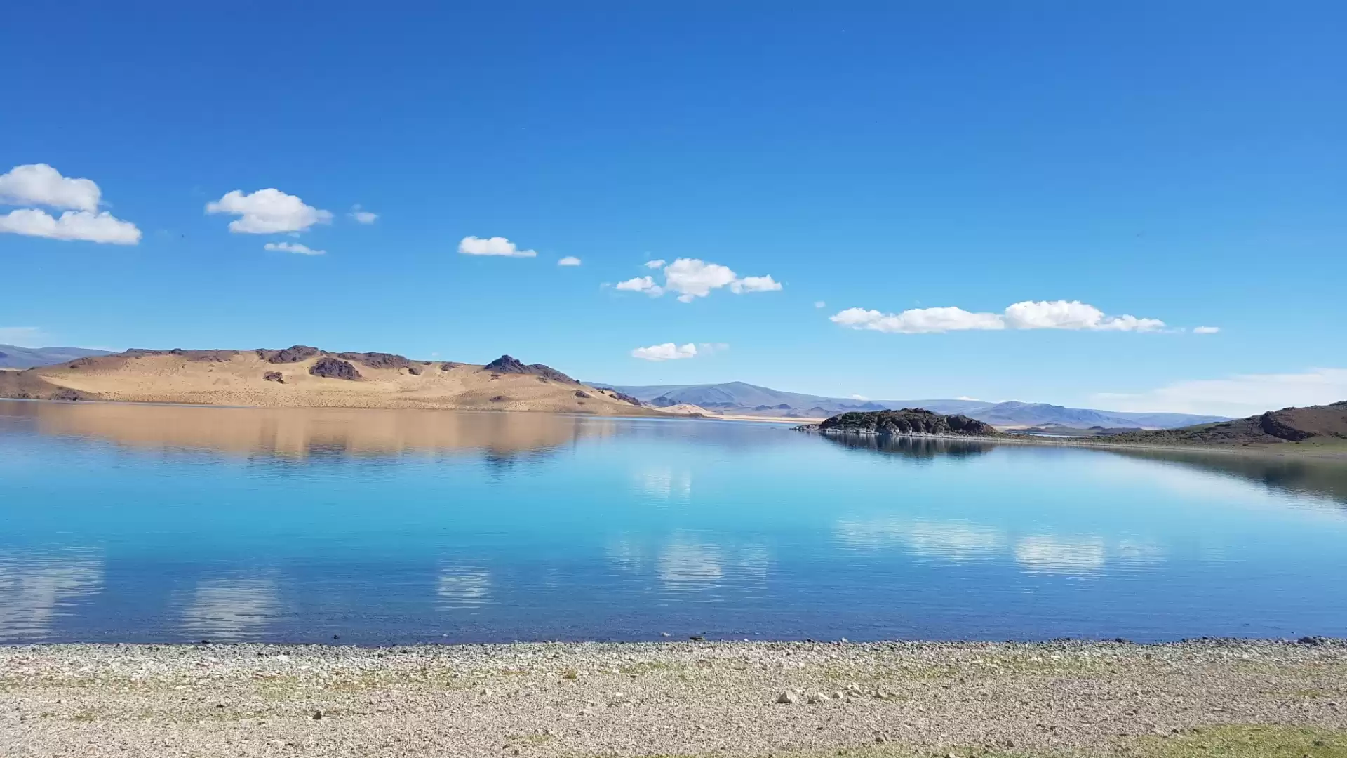 Tabiatda toliq yalangoch