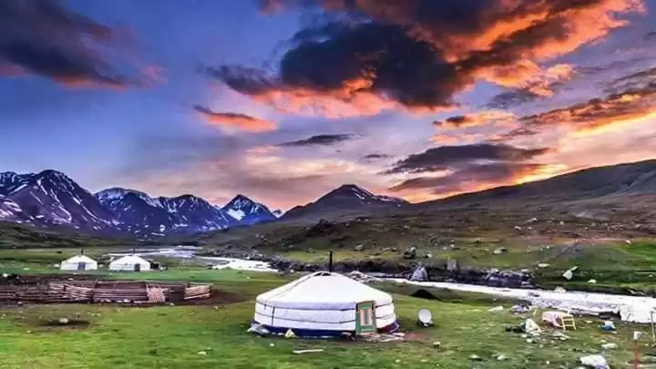 Seksual transseksuallar ishtirokidagi porno