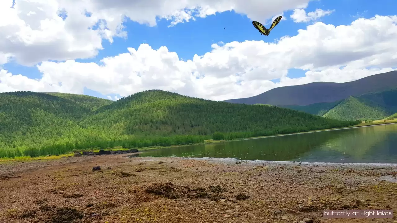 Gobi Desert And Eight Lakes Huisiin Naiman Nuur 12 Day