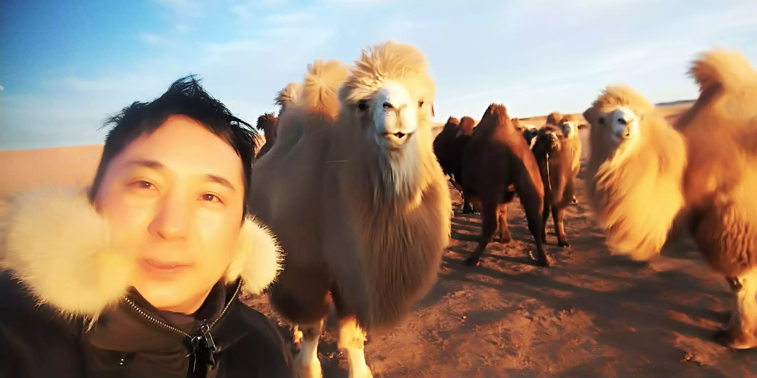 Gobi Desert And Terelj National Park In 7 Days