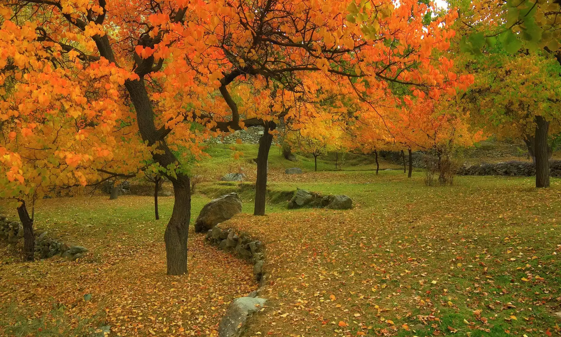 Golden Autumn Tour Of Hunza Nagar