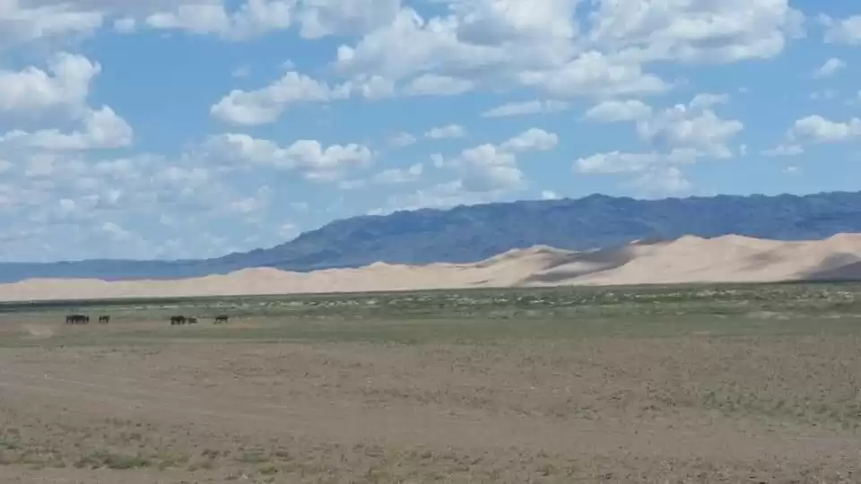 Golden Gobi Tour