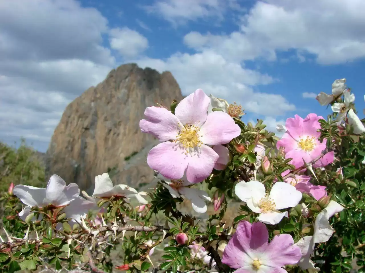 Hiking Tour Sentyab Village - Nurata Mountains 3 Days