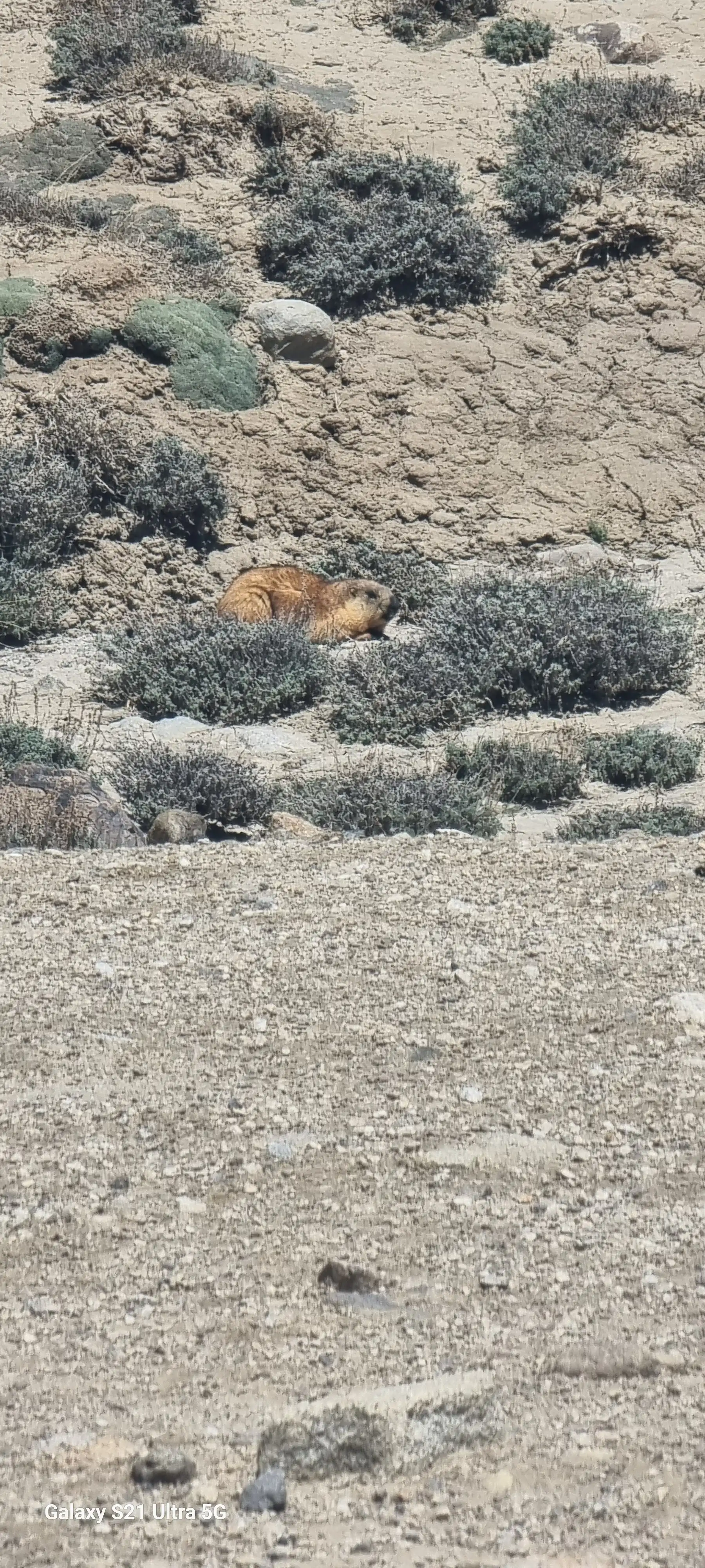 Panjakent-dushanbe-kalai Khumb-khorog-murghab-karakul