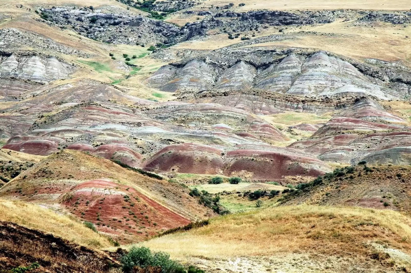 Jeep Tour To Rainbow Hills Georgia And Davit Gareja