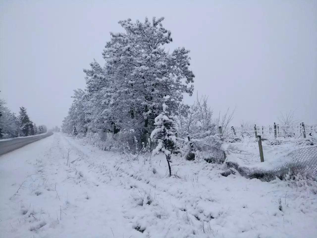 Lahidj And Russian Village With Homemade Wine